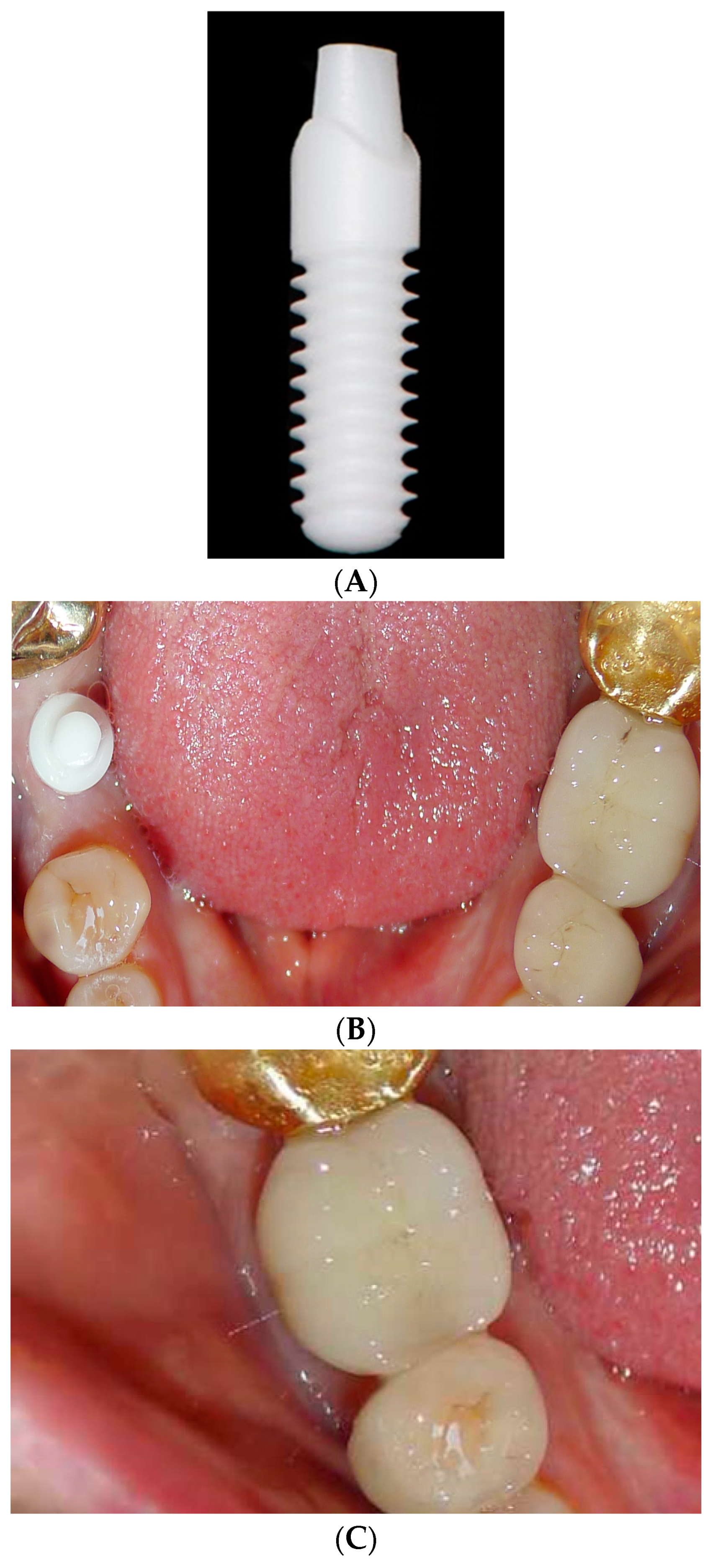 Preprints 90454 g003