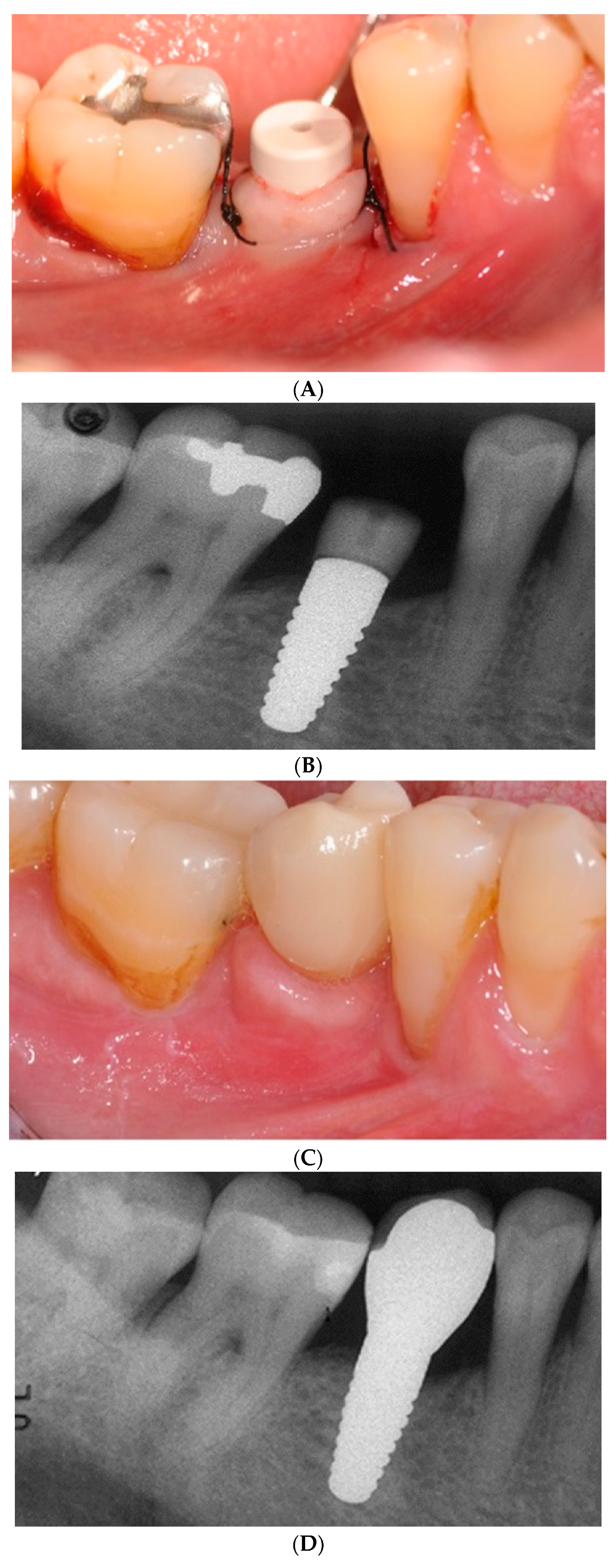 Preprints 90454 g004