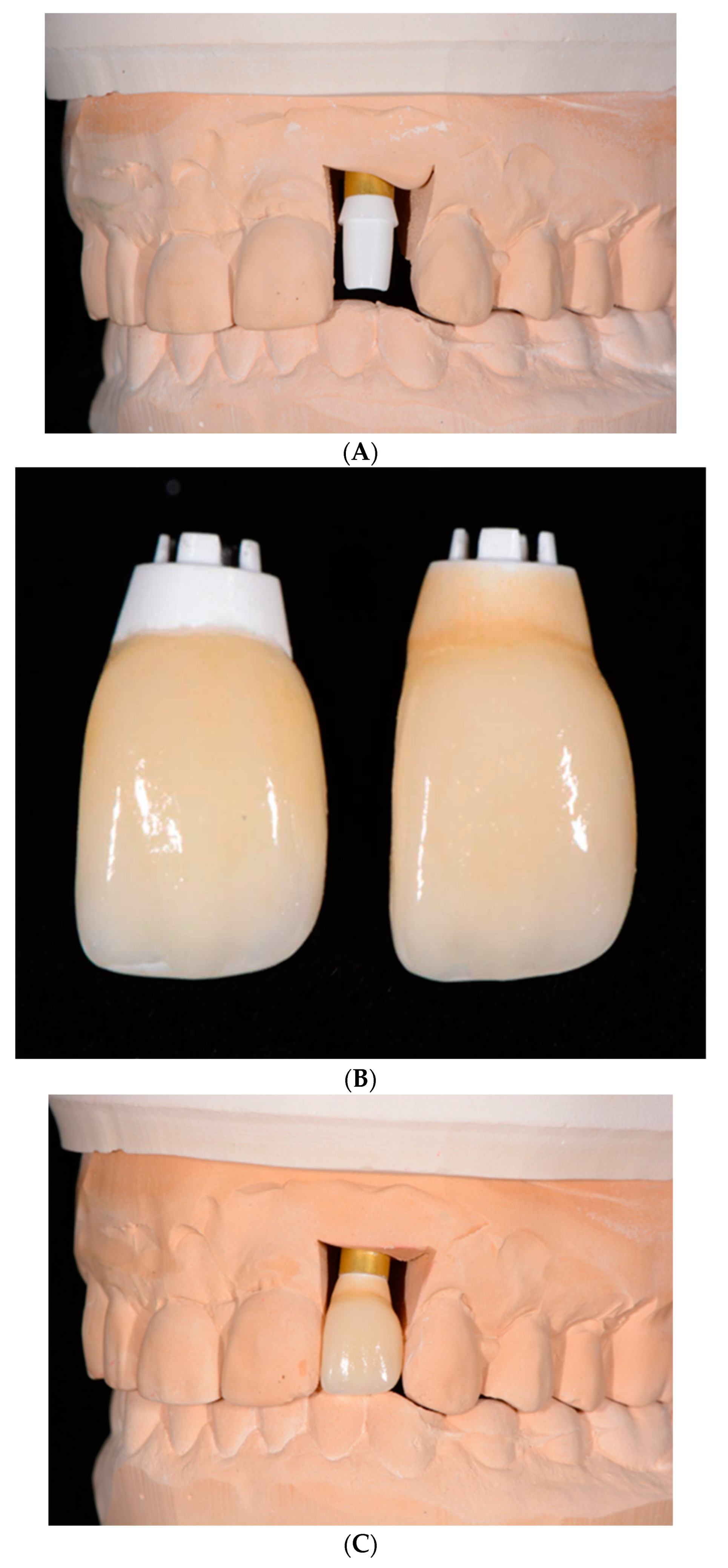 Preprints 90454 g005a