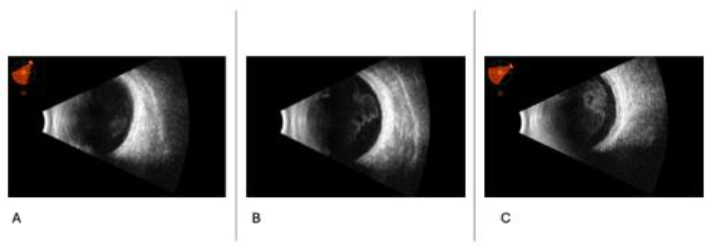 Preprints 148810 g001