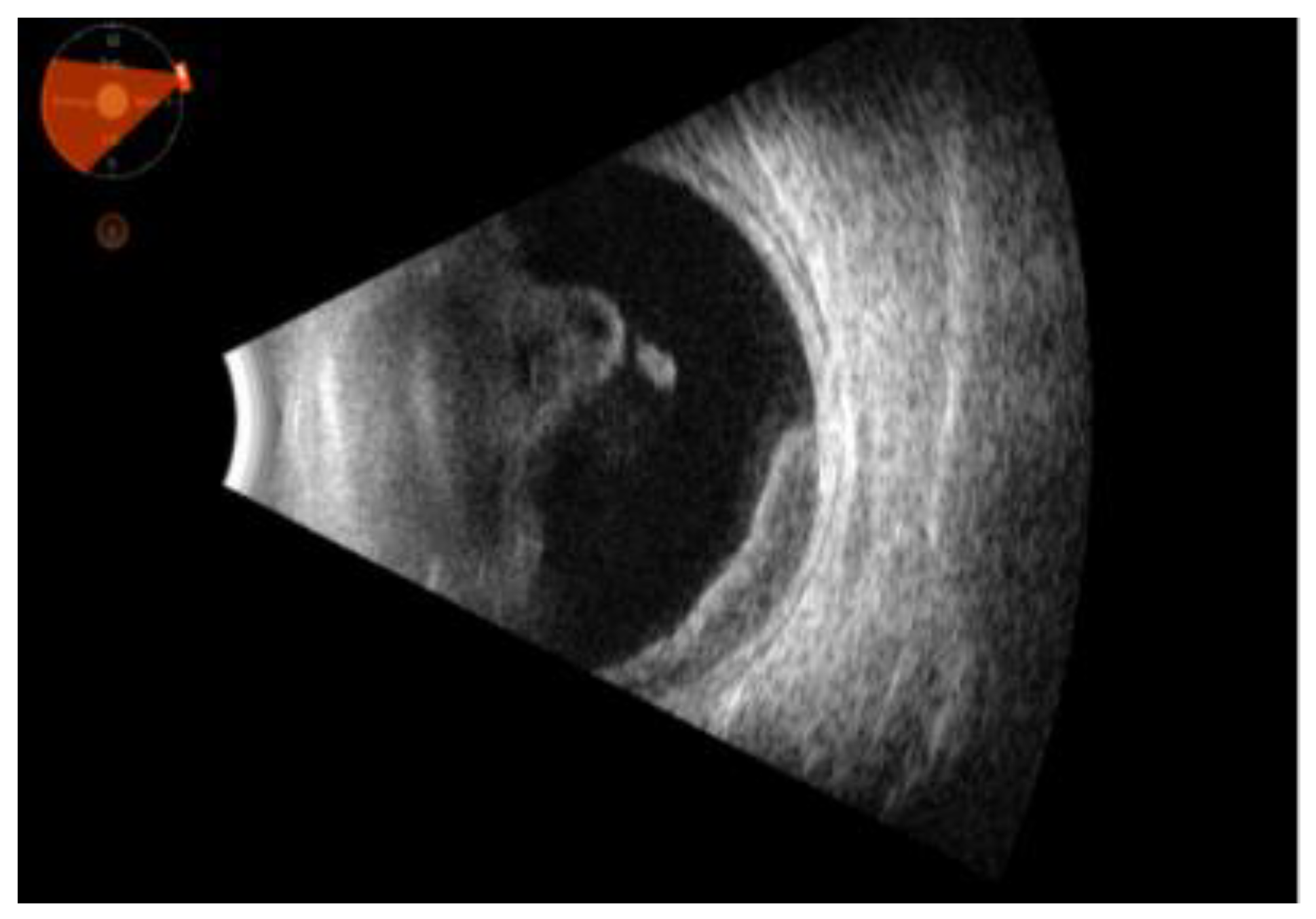 Preprints 148810 g002