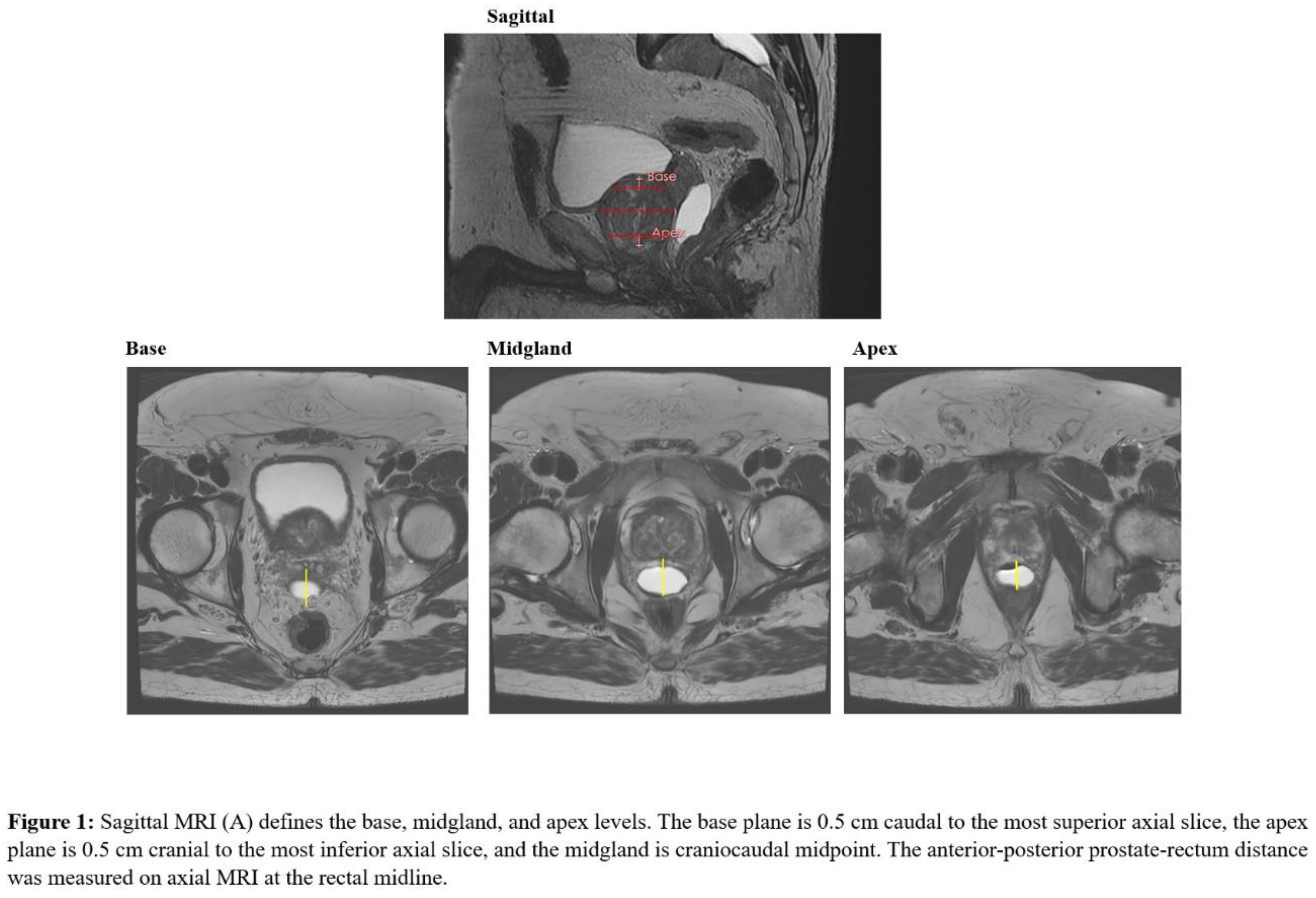 Preprints 192872 g001