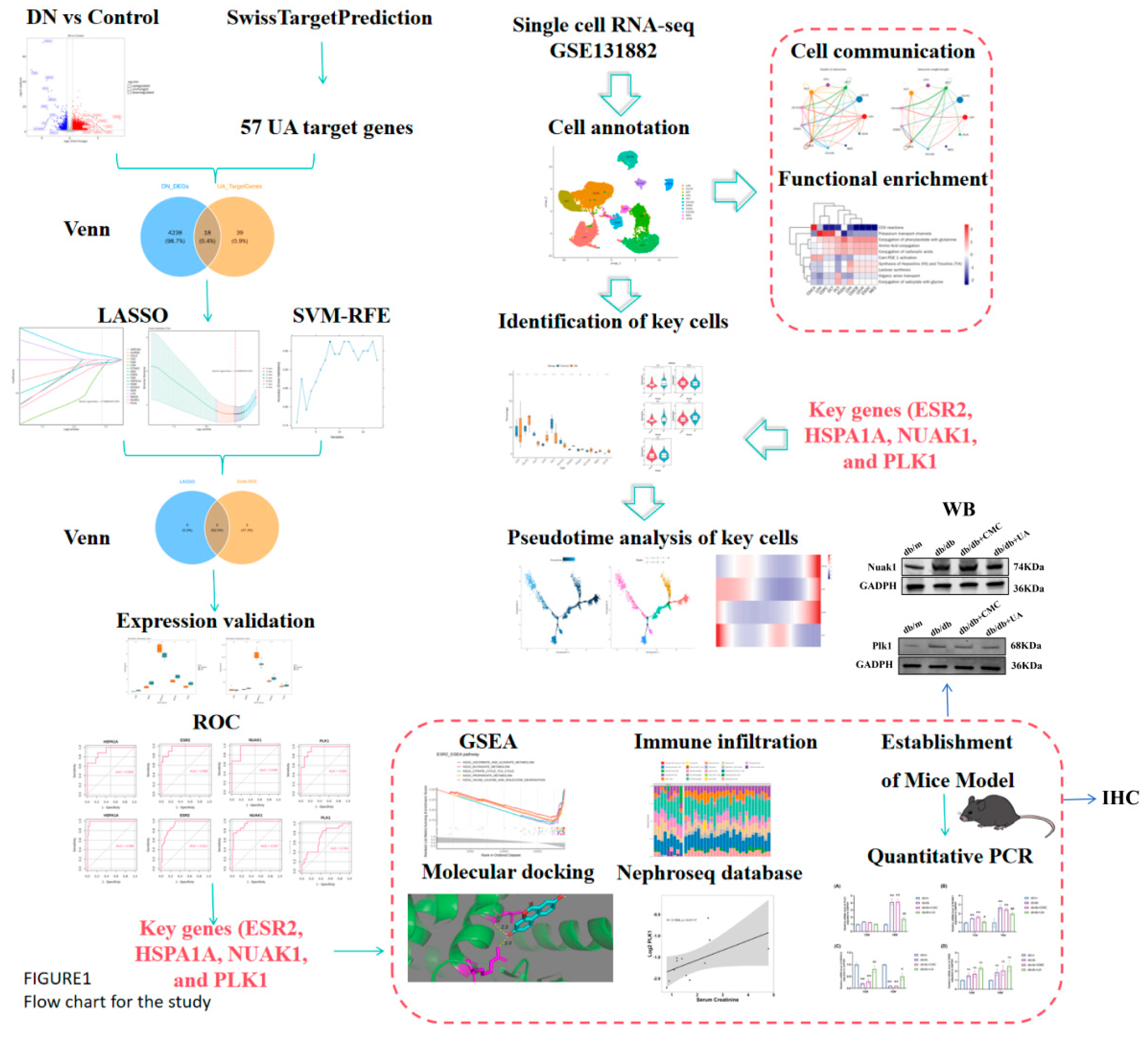 Preprints 207884 g001