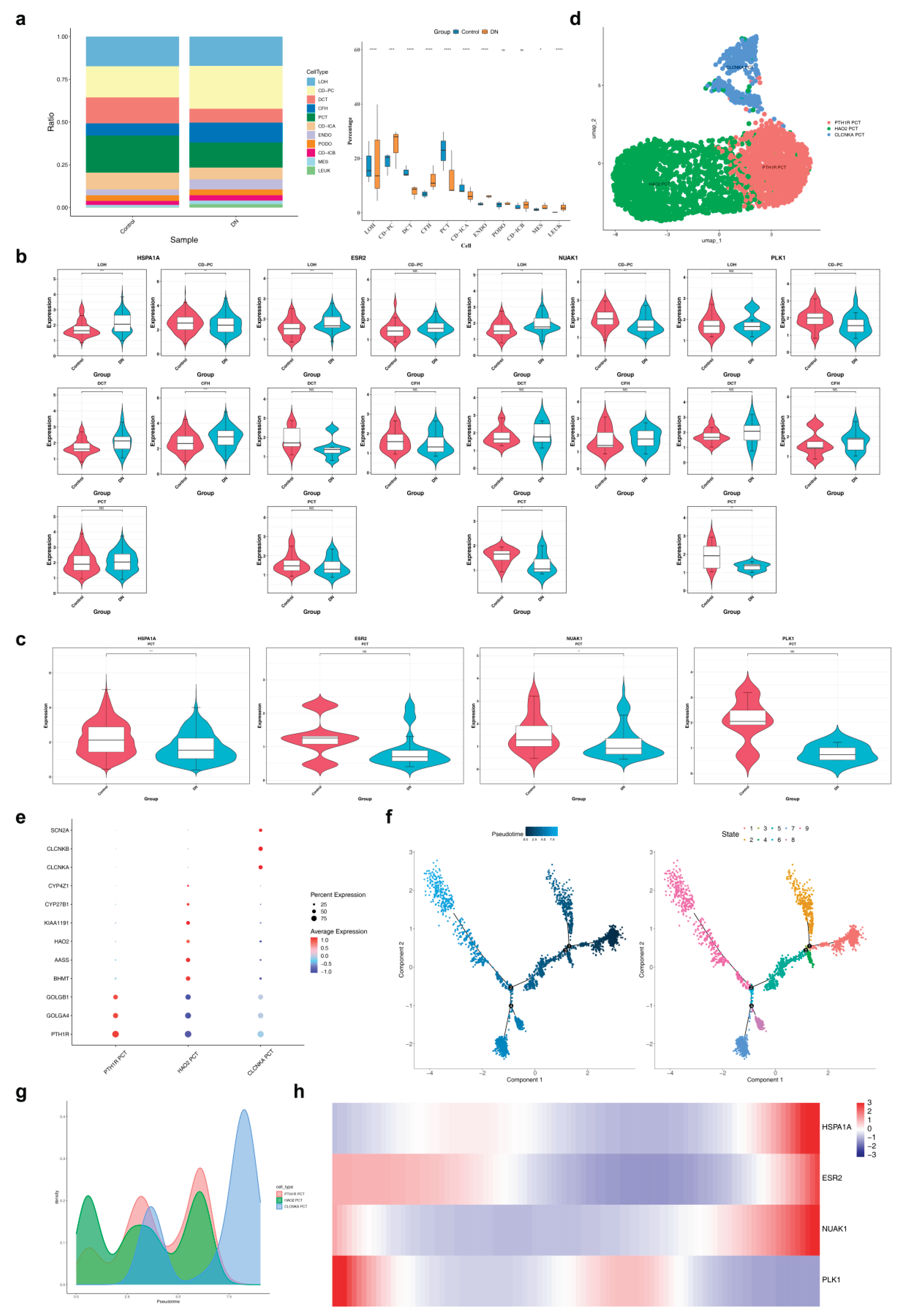 Preprints 207884 g004