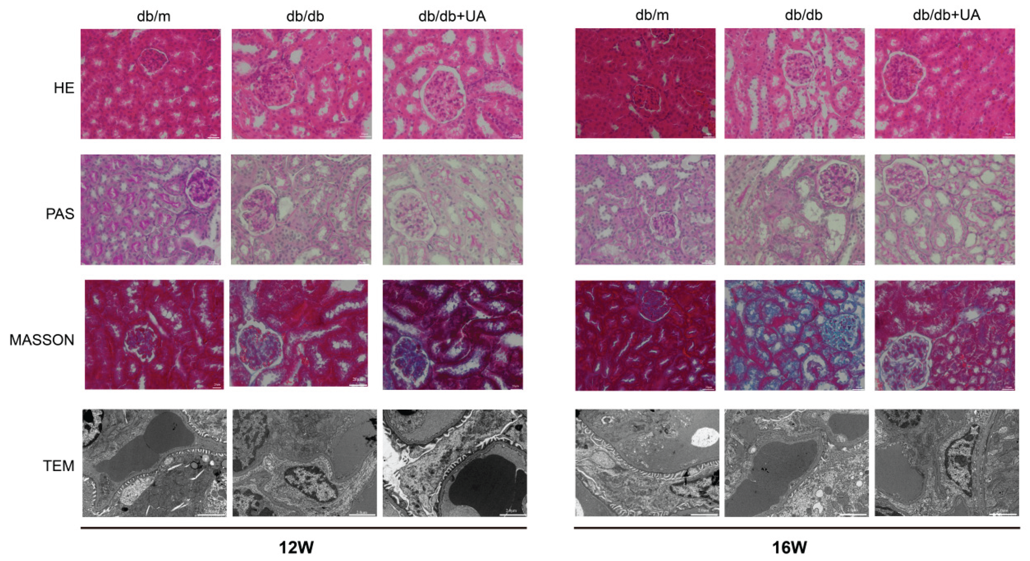 Preprints 207884 g006