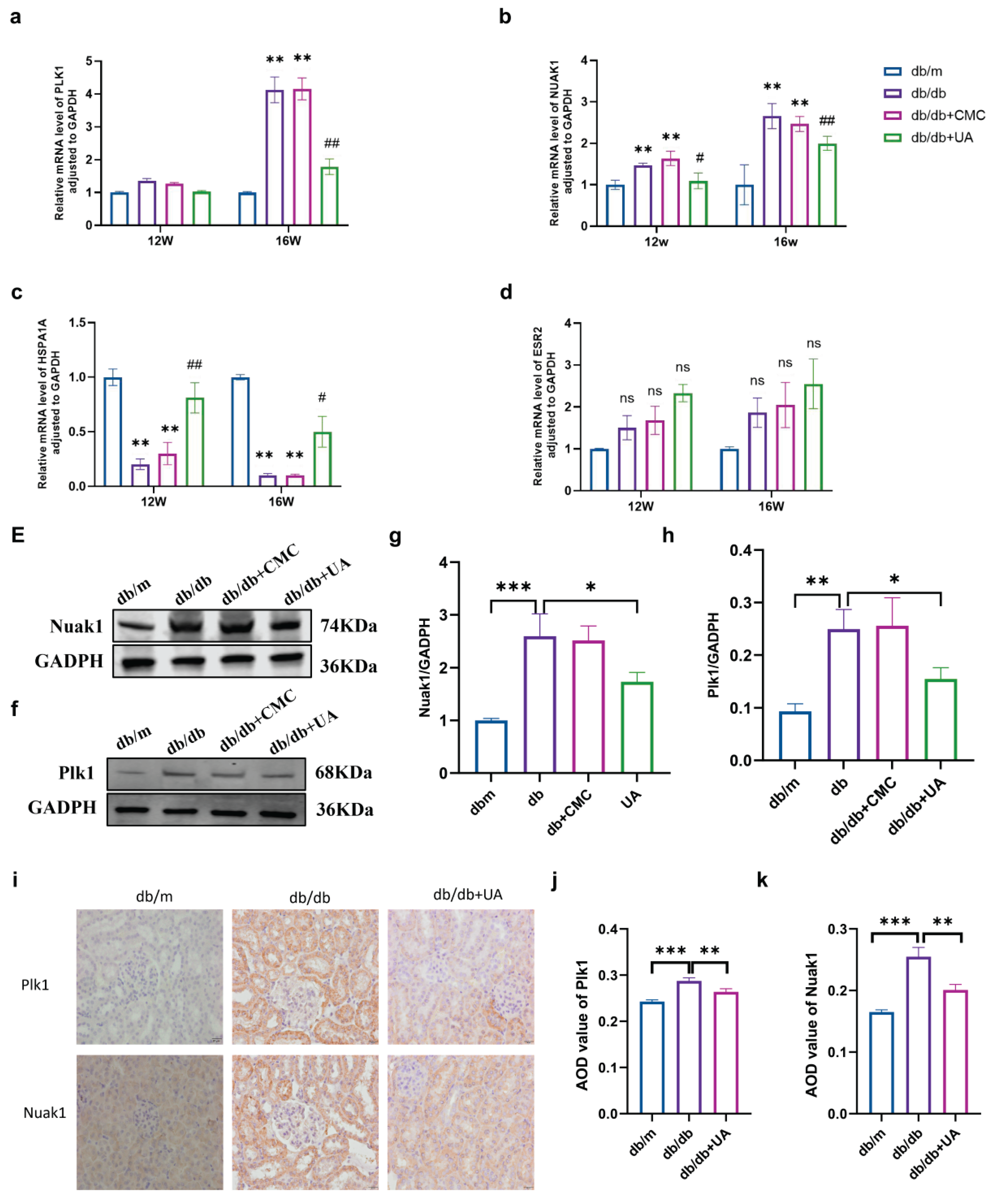 Preprints 207884 g007