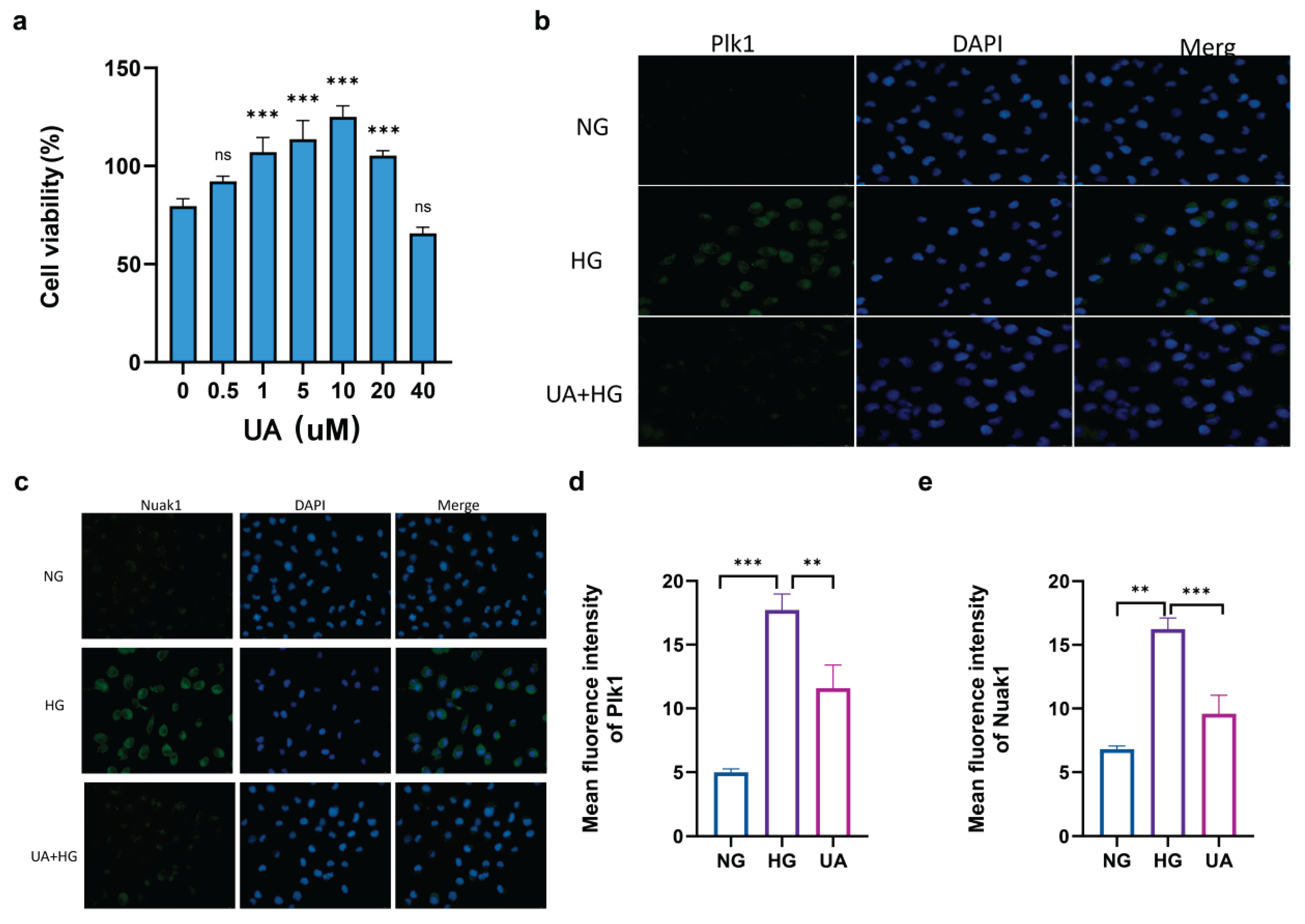 Preprints 207884 g008