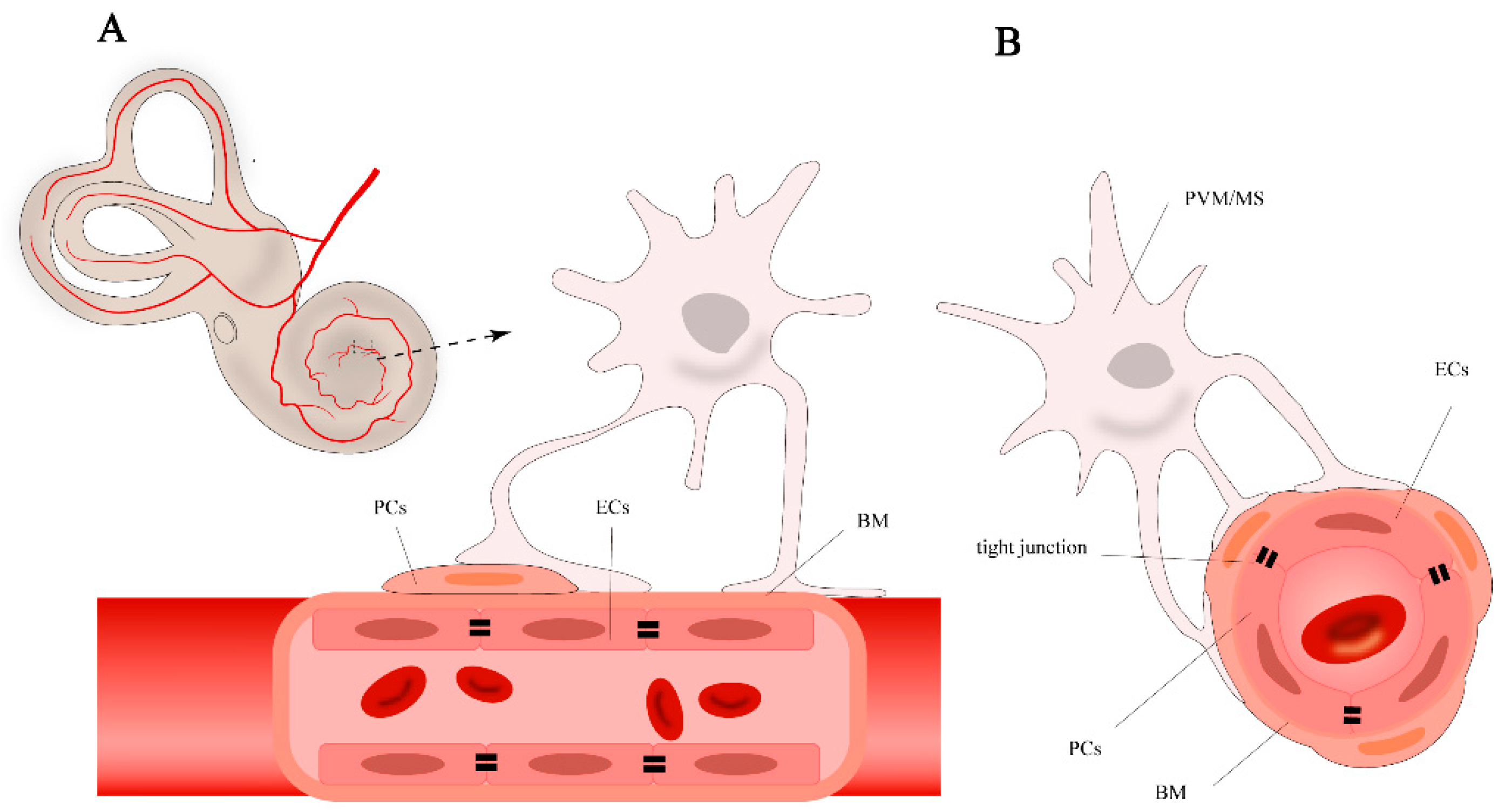 Preprints 150068 g001