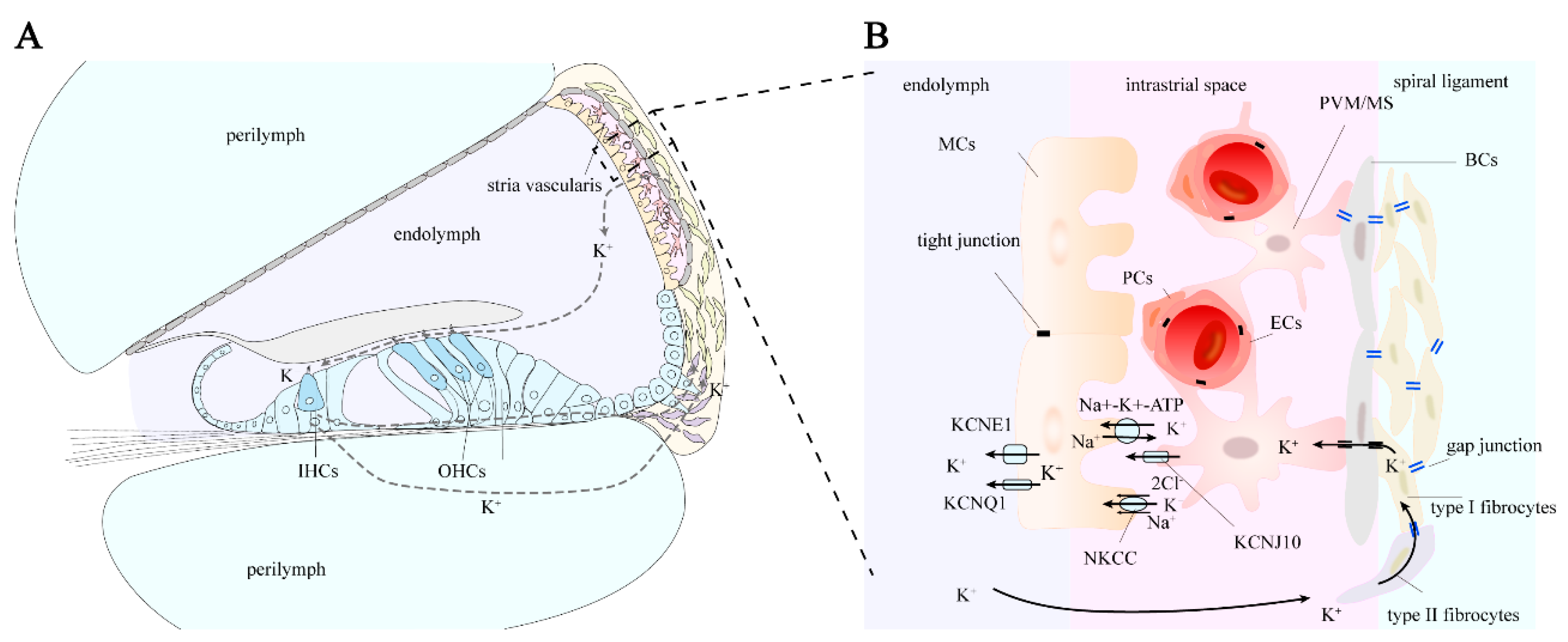 Preprints 150068 g002