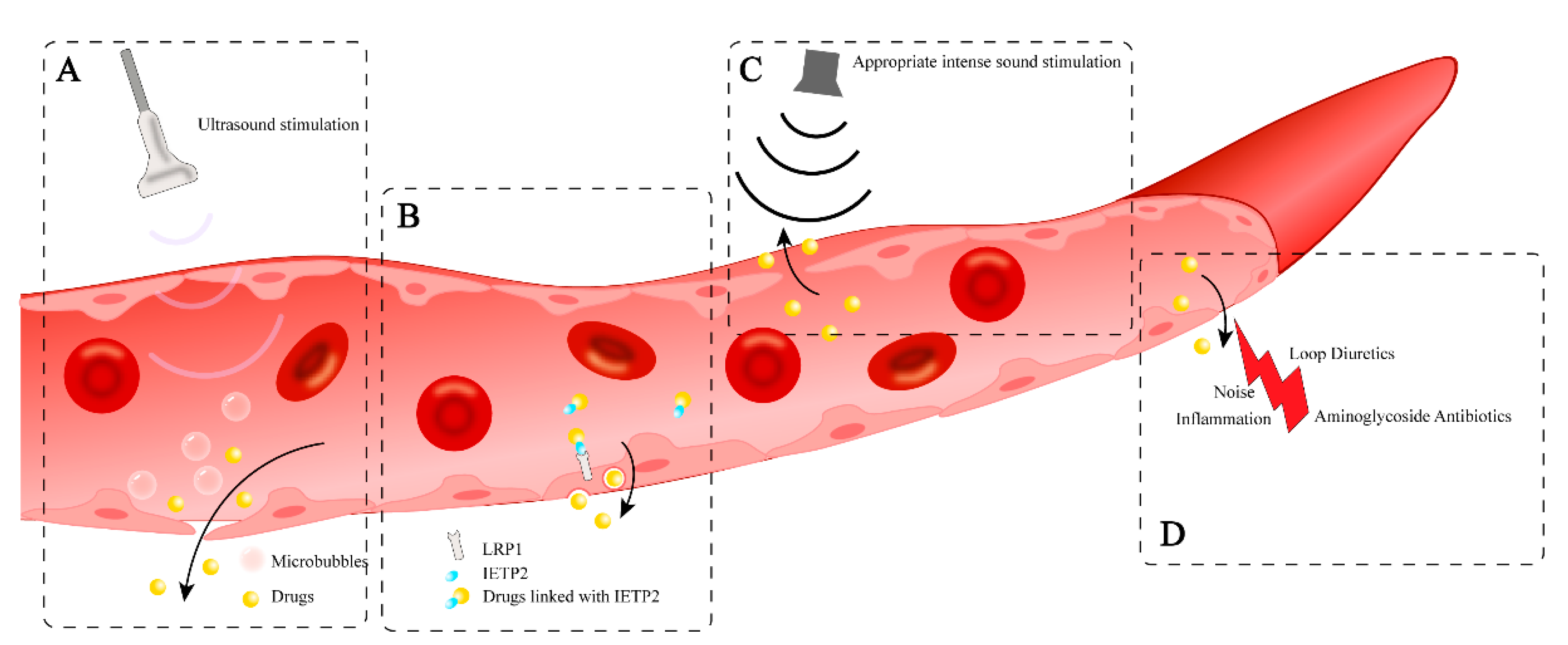 Preprints 150068 g003