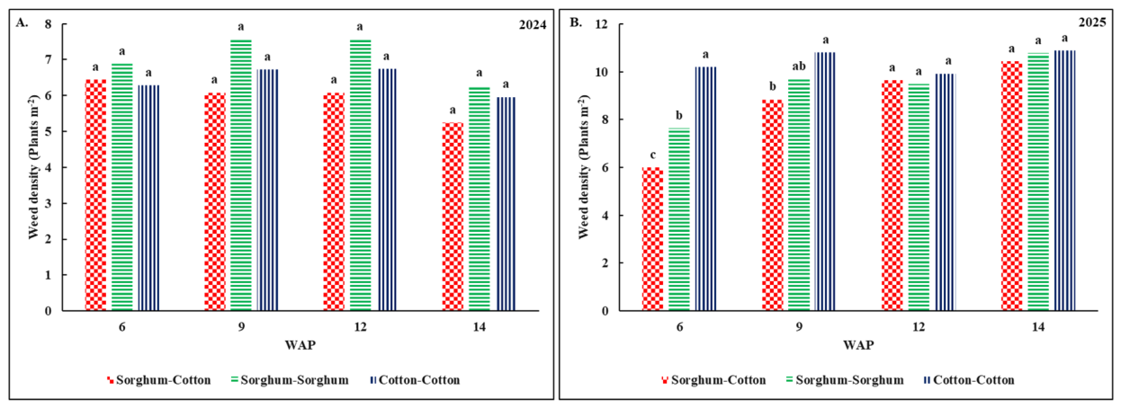 Weed Control and Cotton Yield Response Under Sorghum-Cotton Rotation[v1 ...