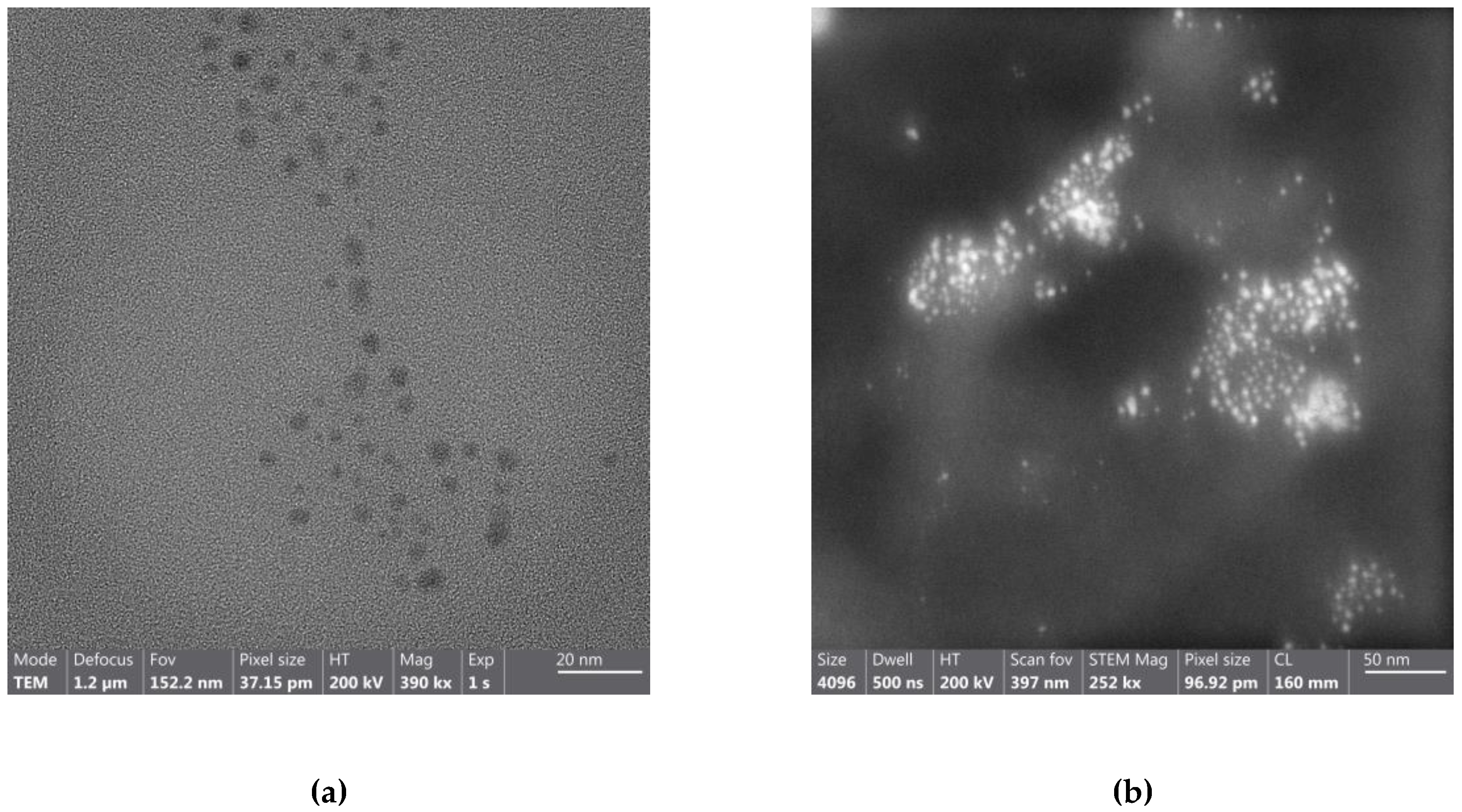 Preprints 198183 g002