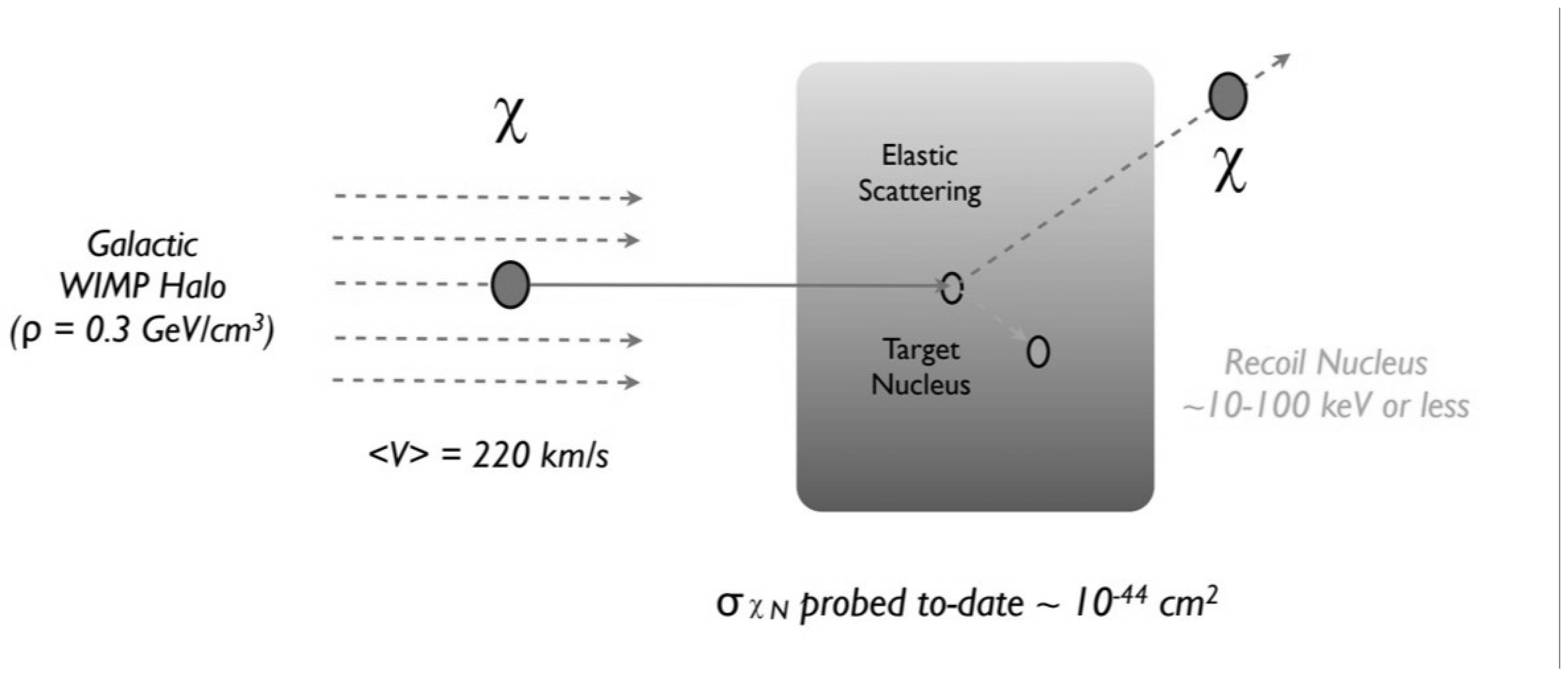 Preprints 154675 g003