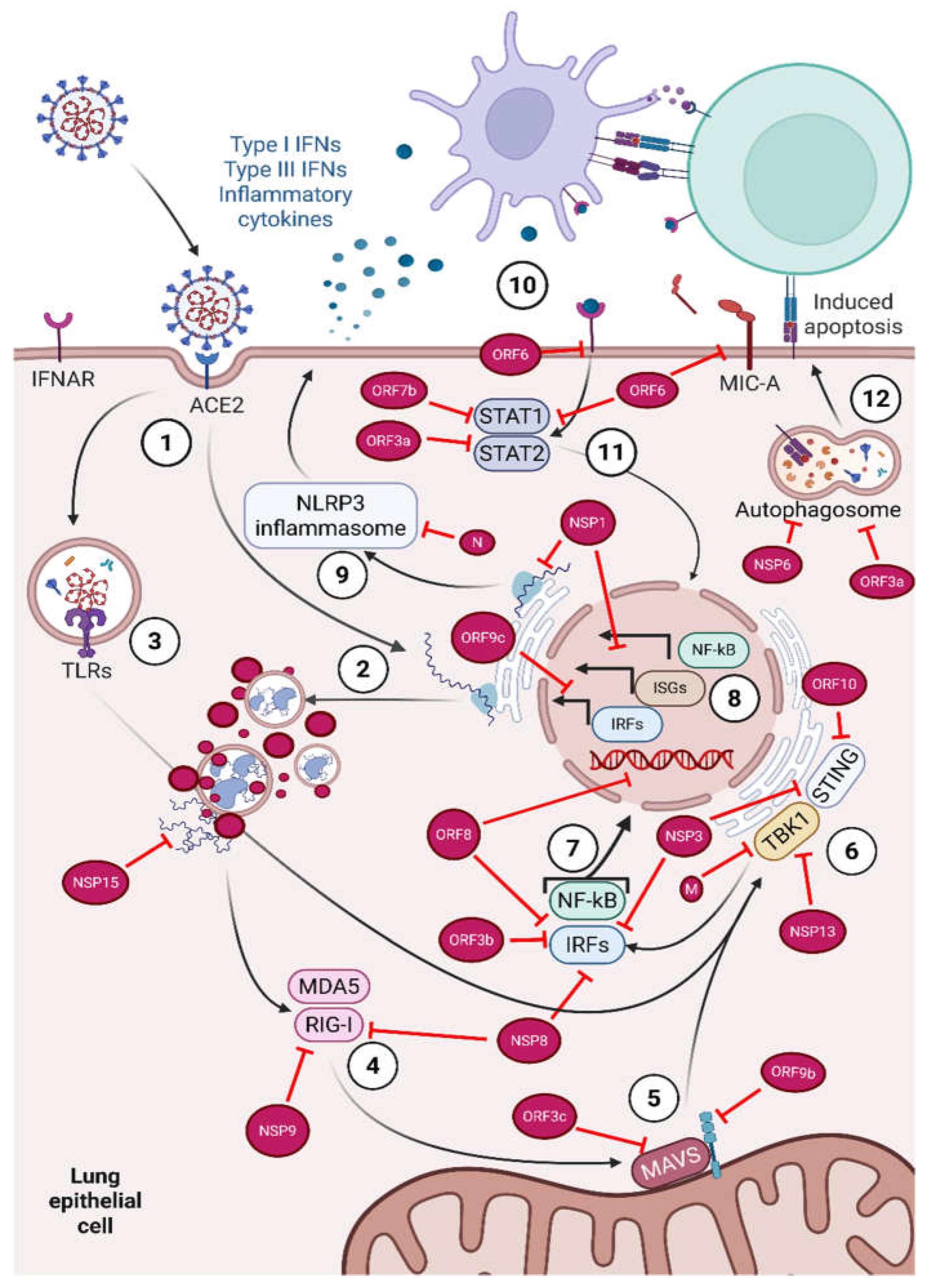 Preprints 221573 g001