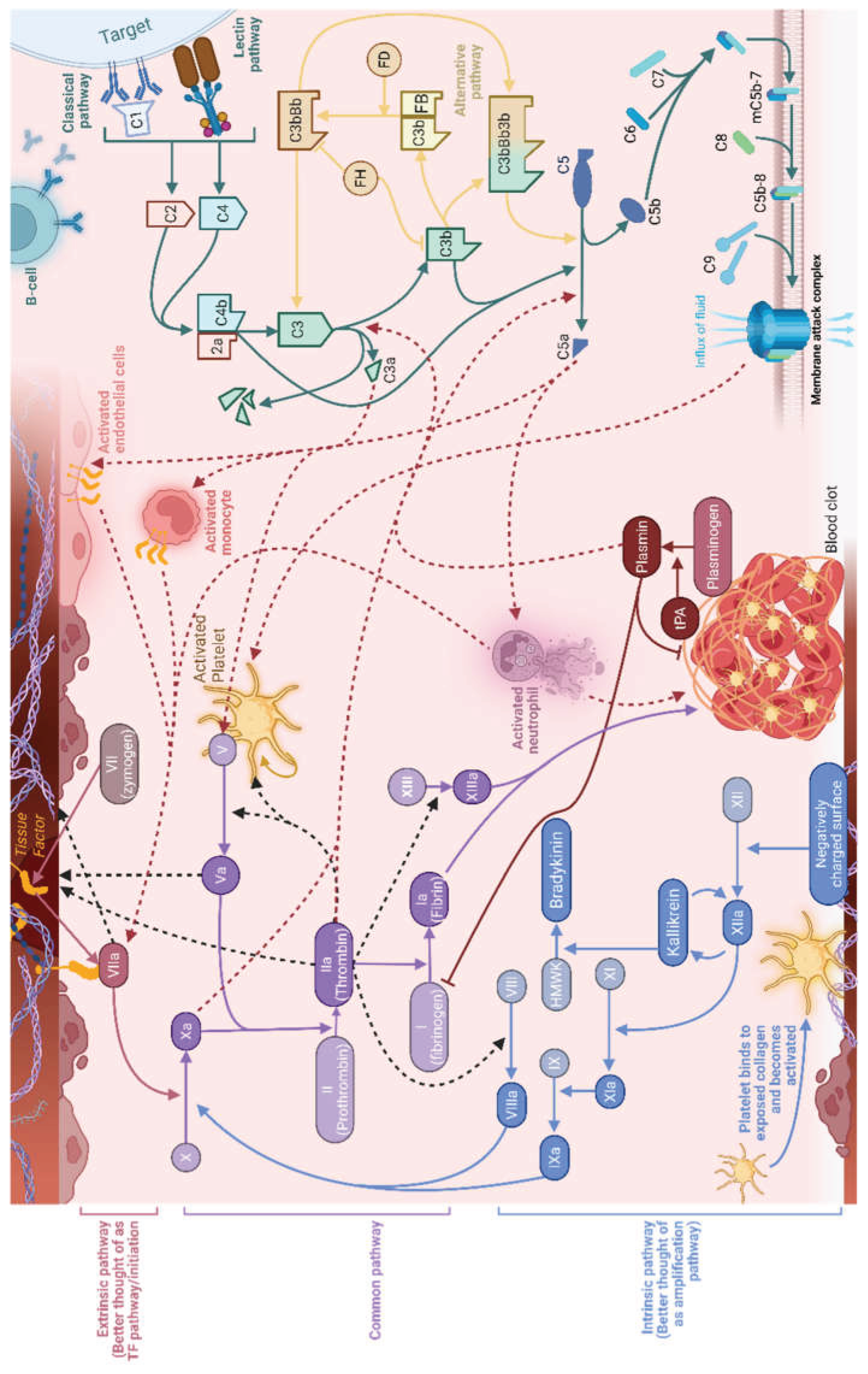 Preprints 221573 g002