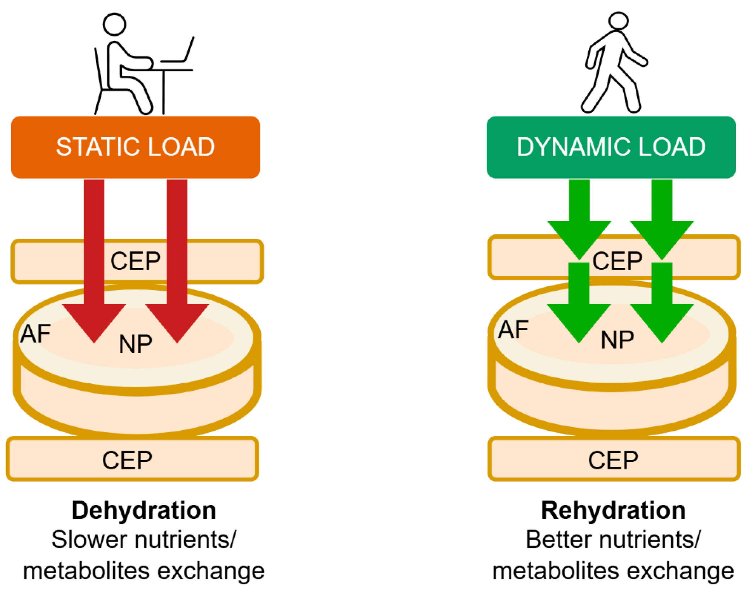 Preprints 196083 g001