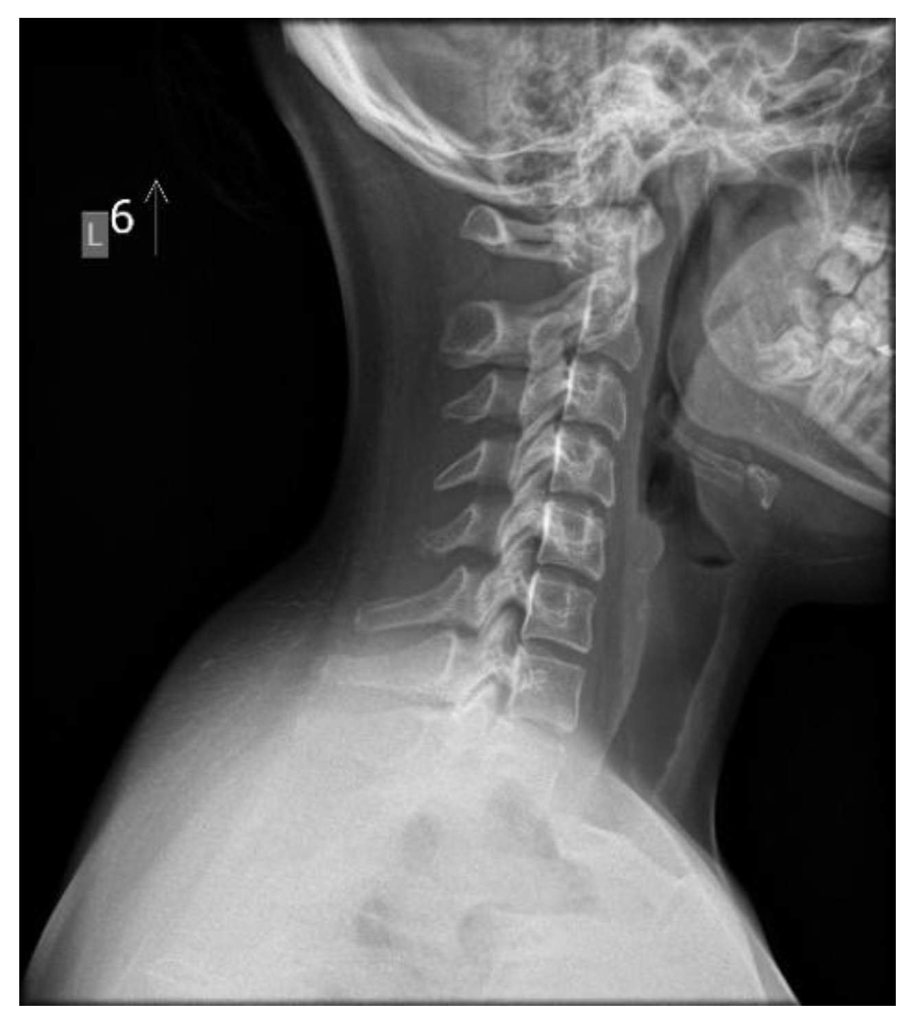 Preprints 196083 g002