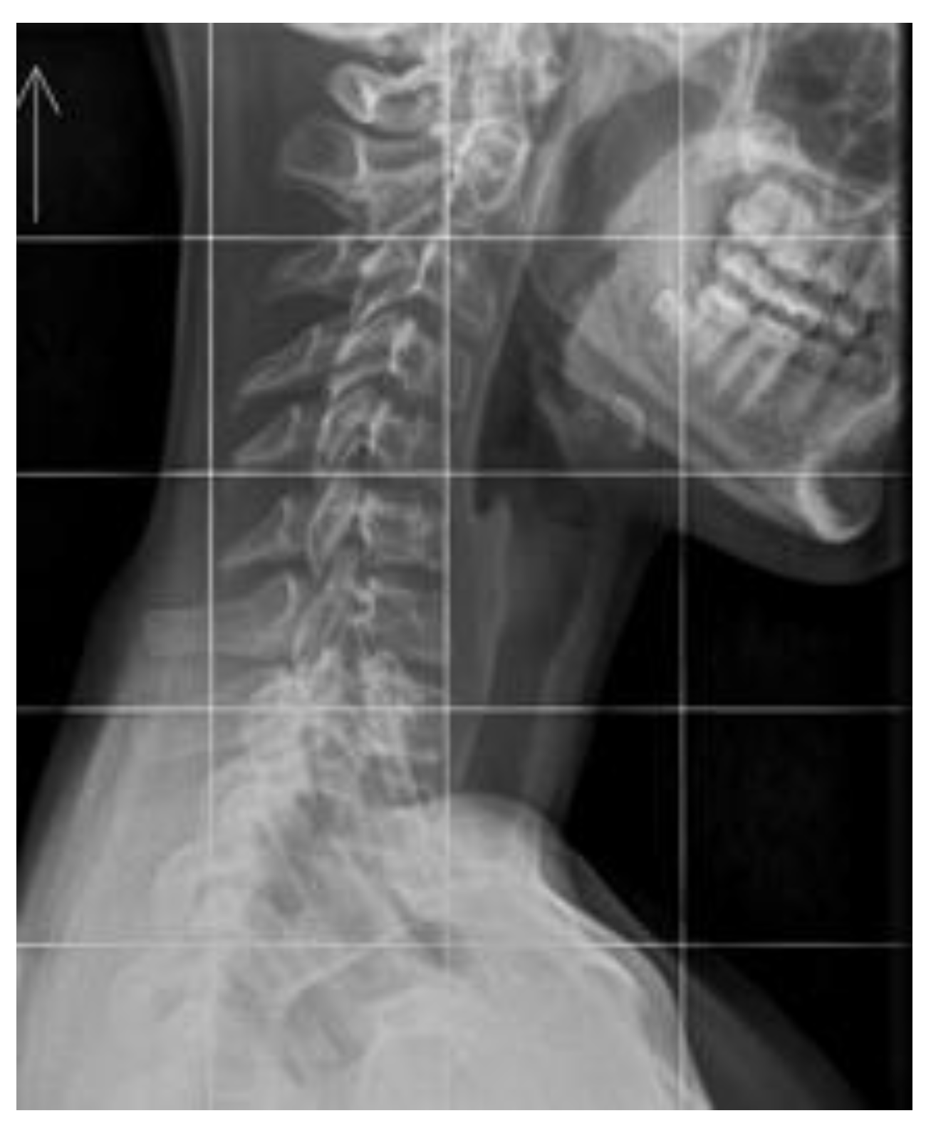 Preprints 196083 g003