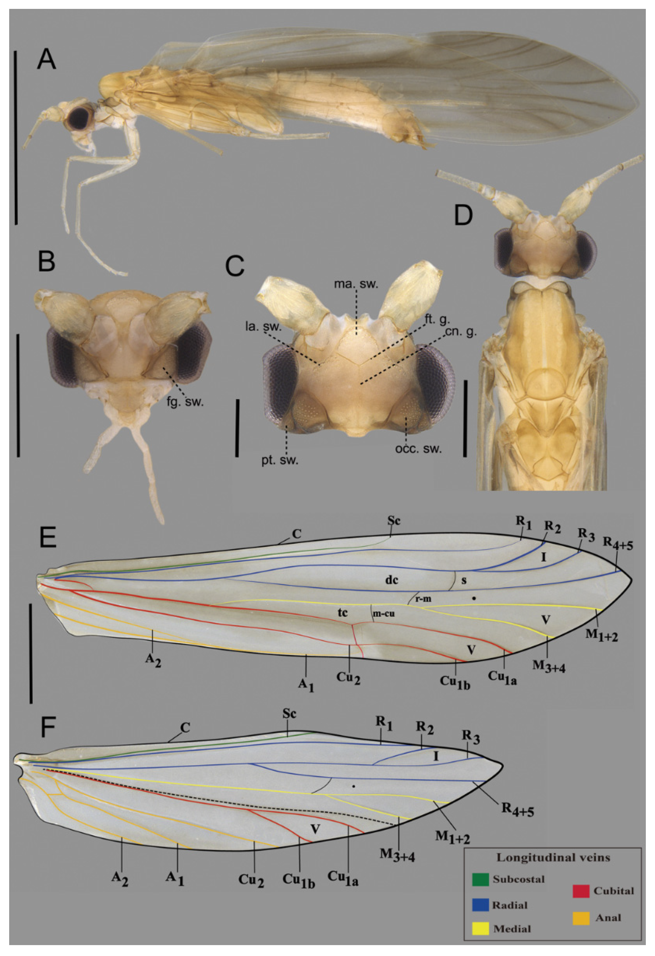 Preprints 168372 g002