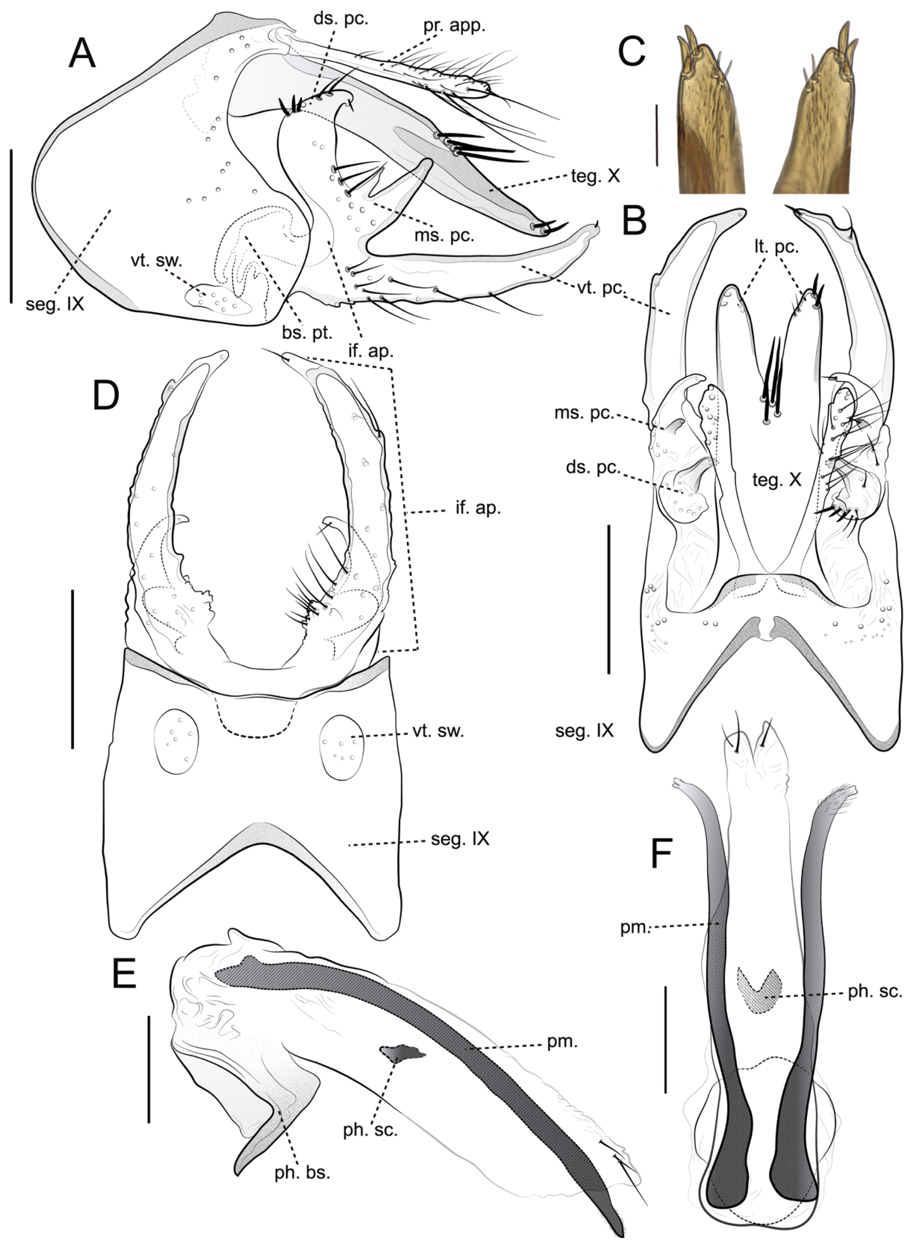 Preprints 168372 g003