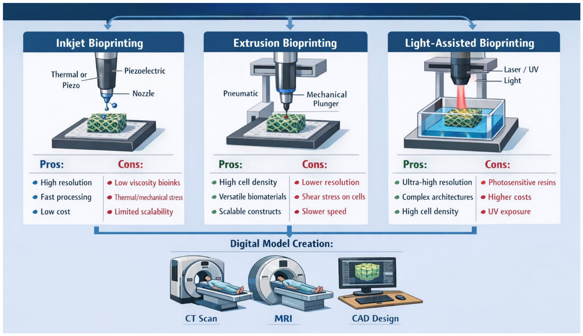 Preprints 215308 g003 Preprints 215308 g003