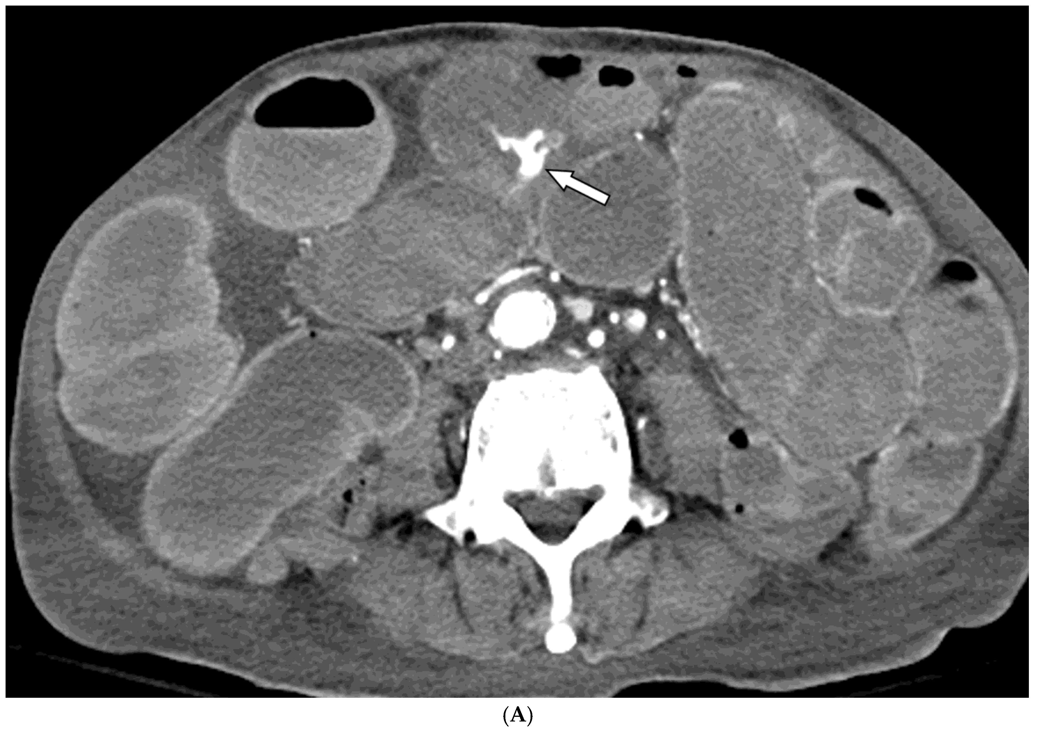 Preprints 172251 g001a