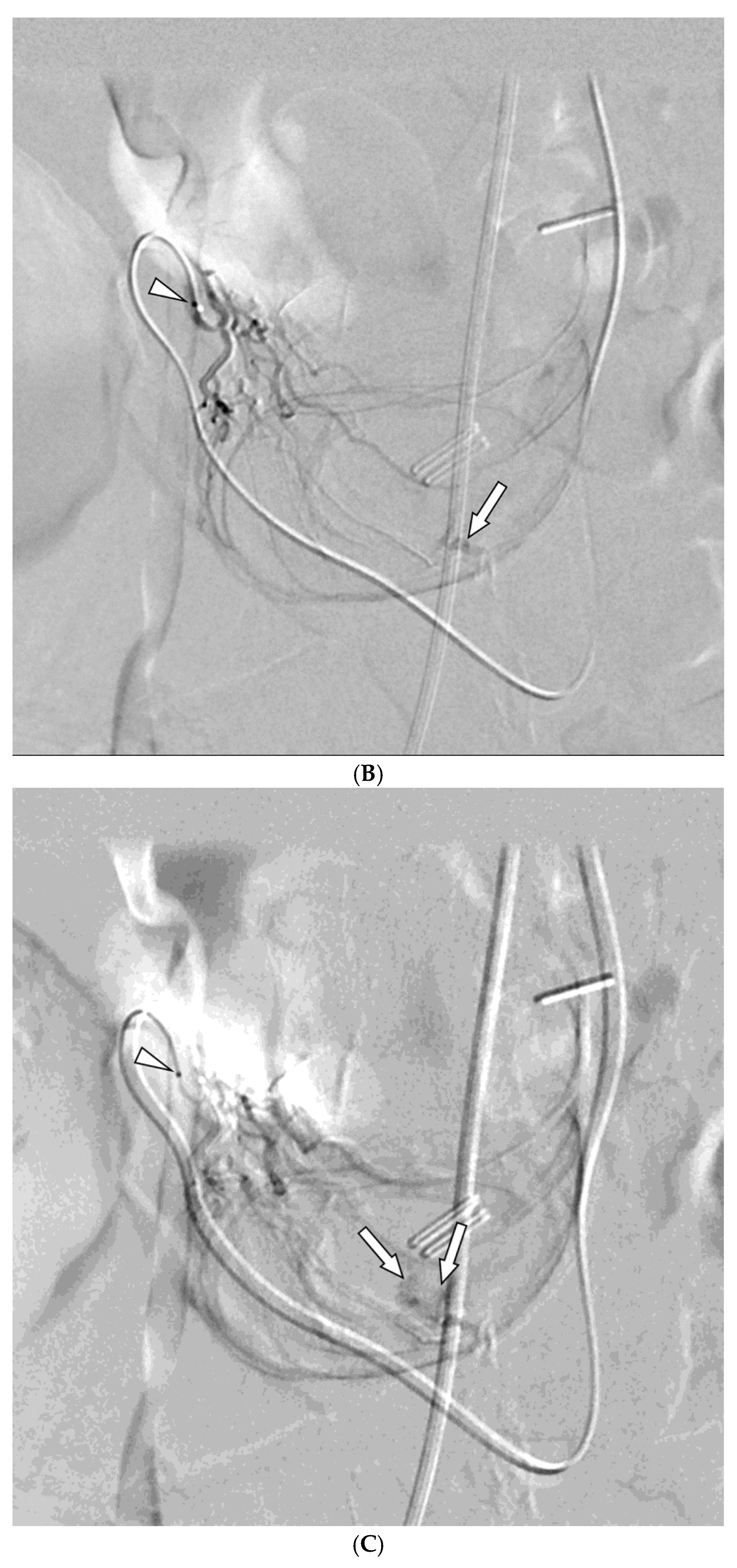 Preprints 172251 g001b