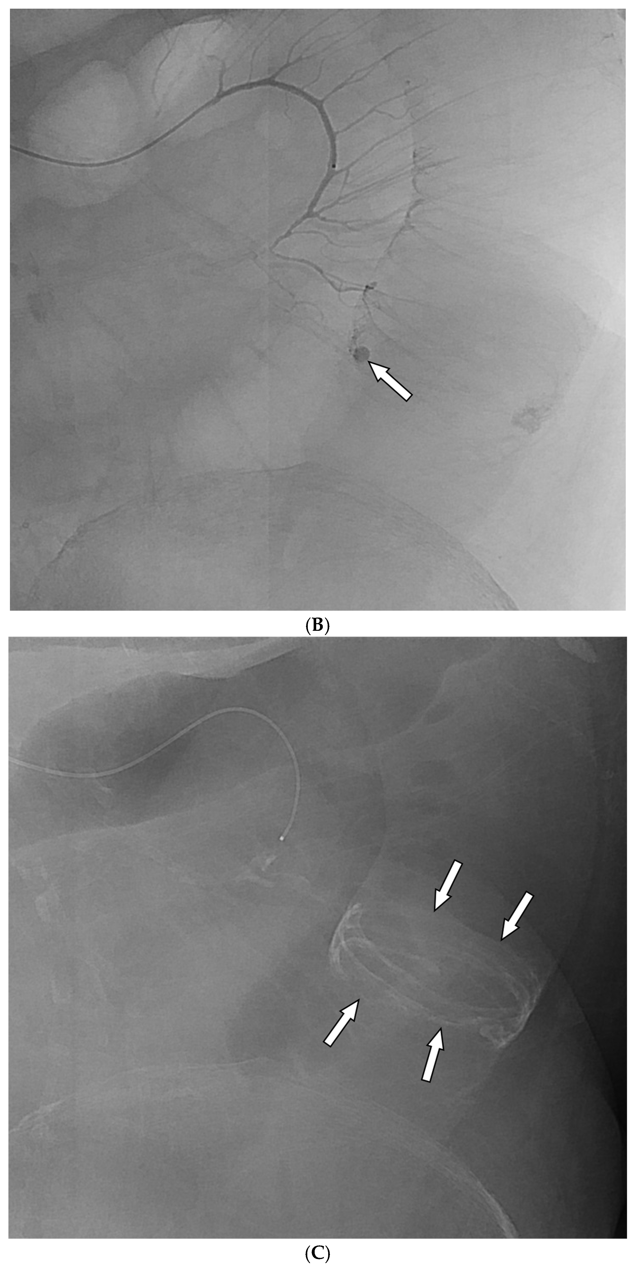 Preprints 172251 g002b