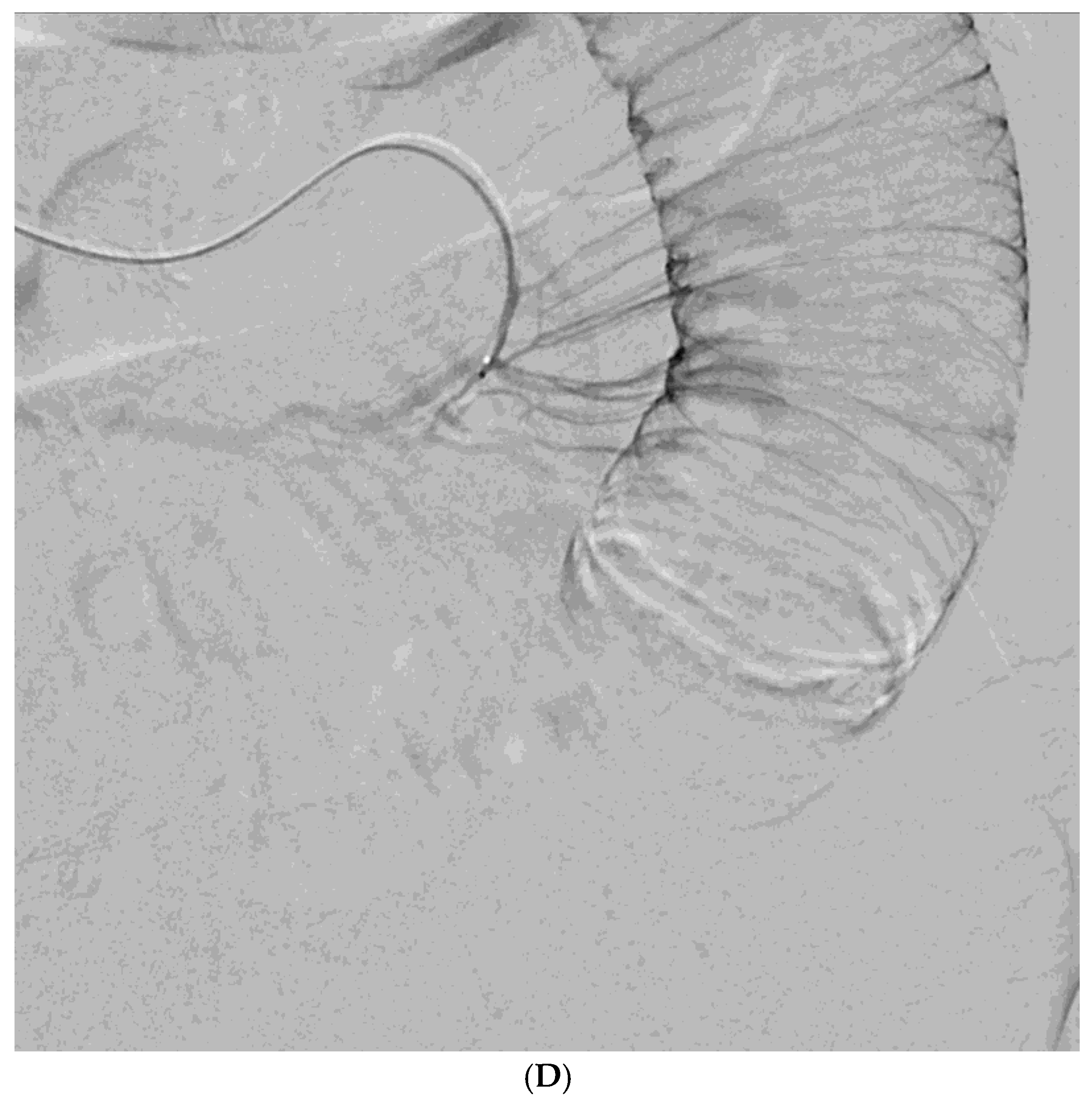 Preprints 172251 g002c