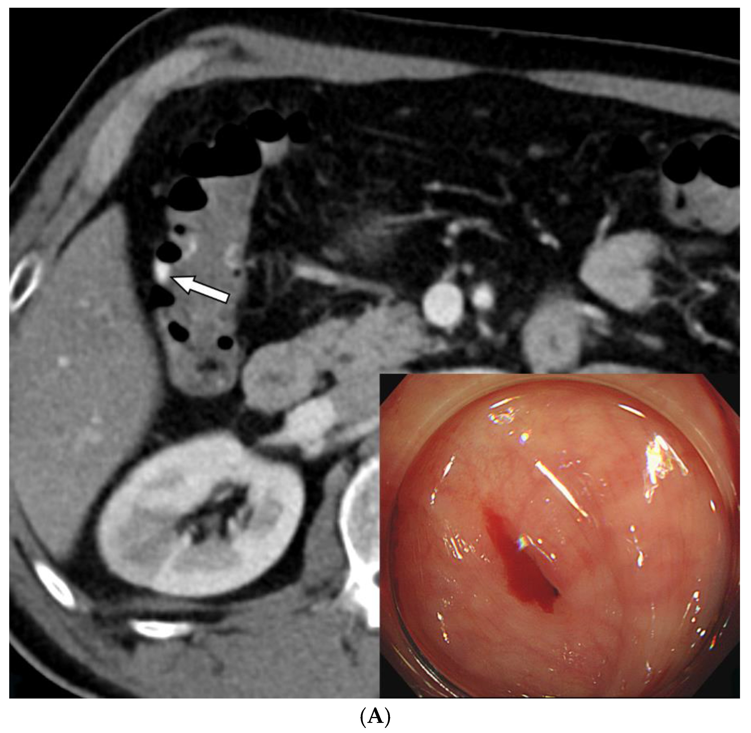 Preprints 172251 g003a