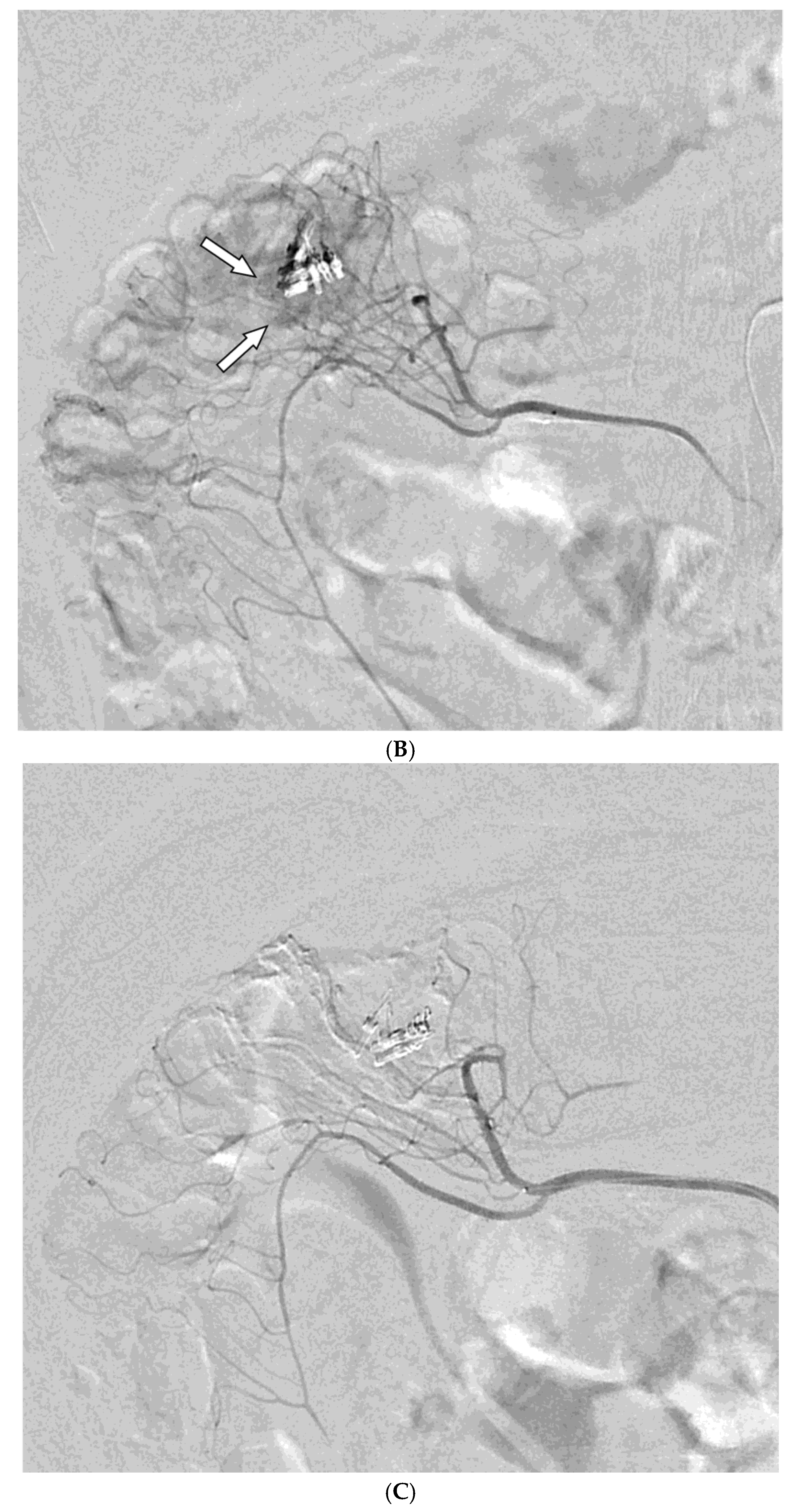 Preprints 172251 g003b