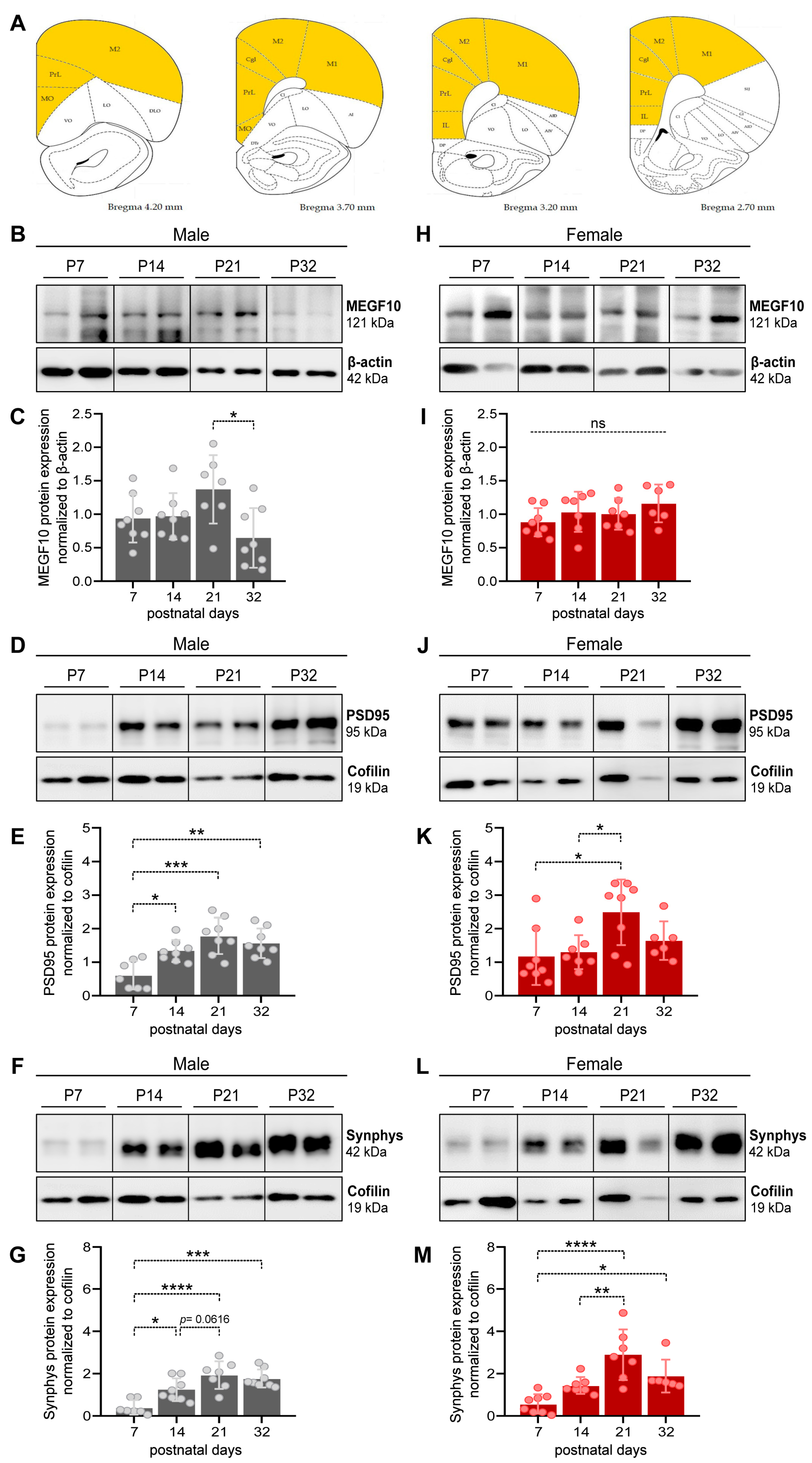 Preprints 88804 g001
