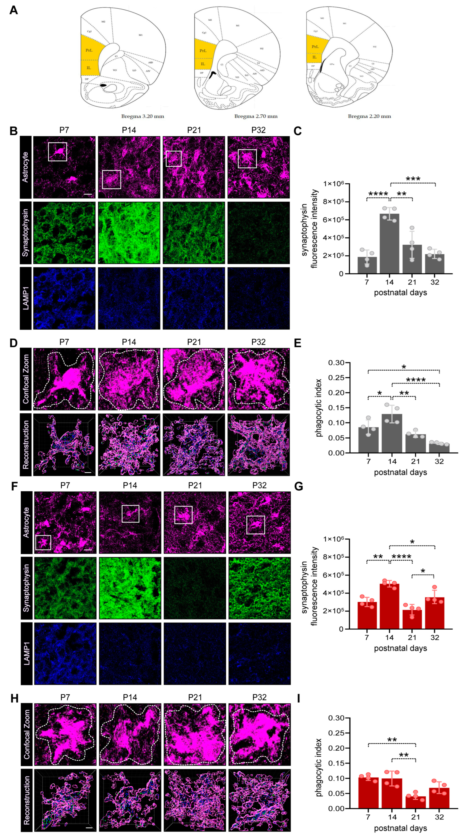 Preprints 88804 g002