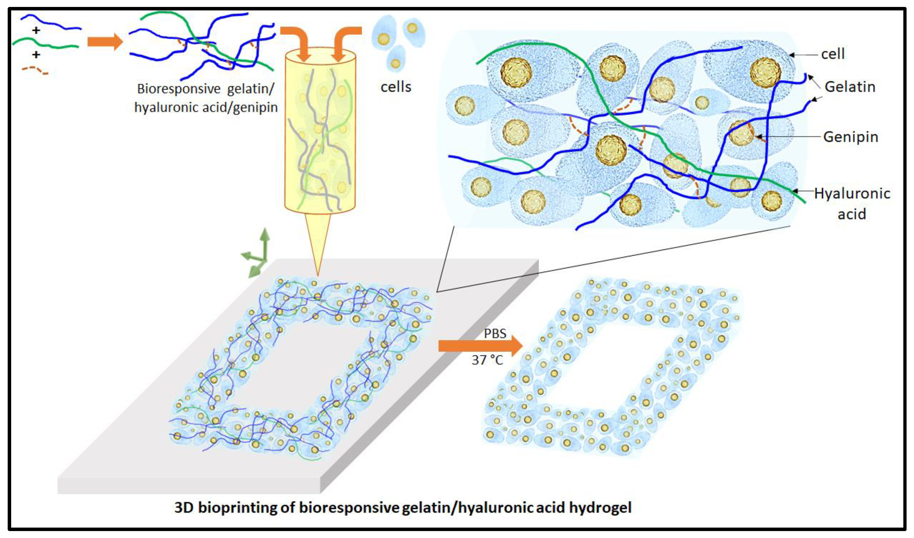 Preprints 77912 g001