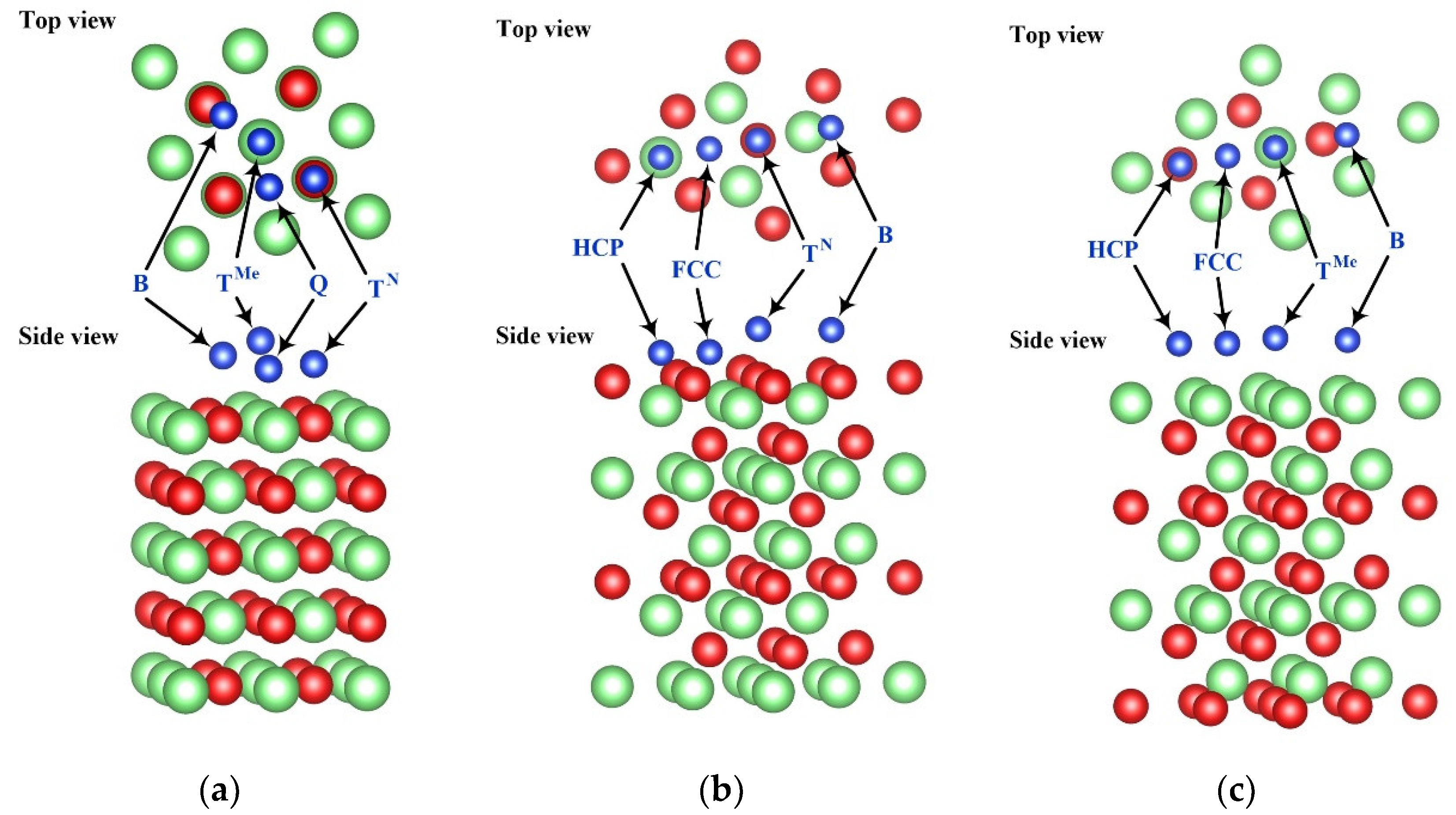 Preprints 141552 g001