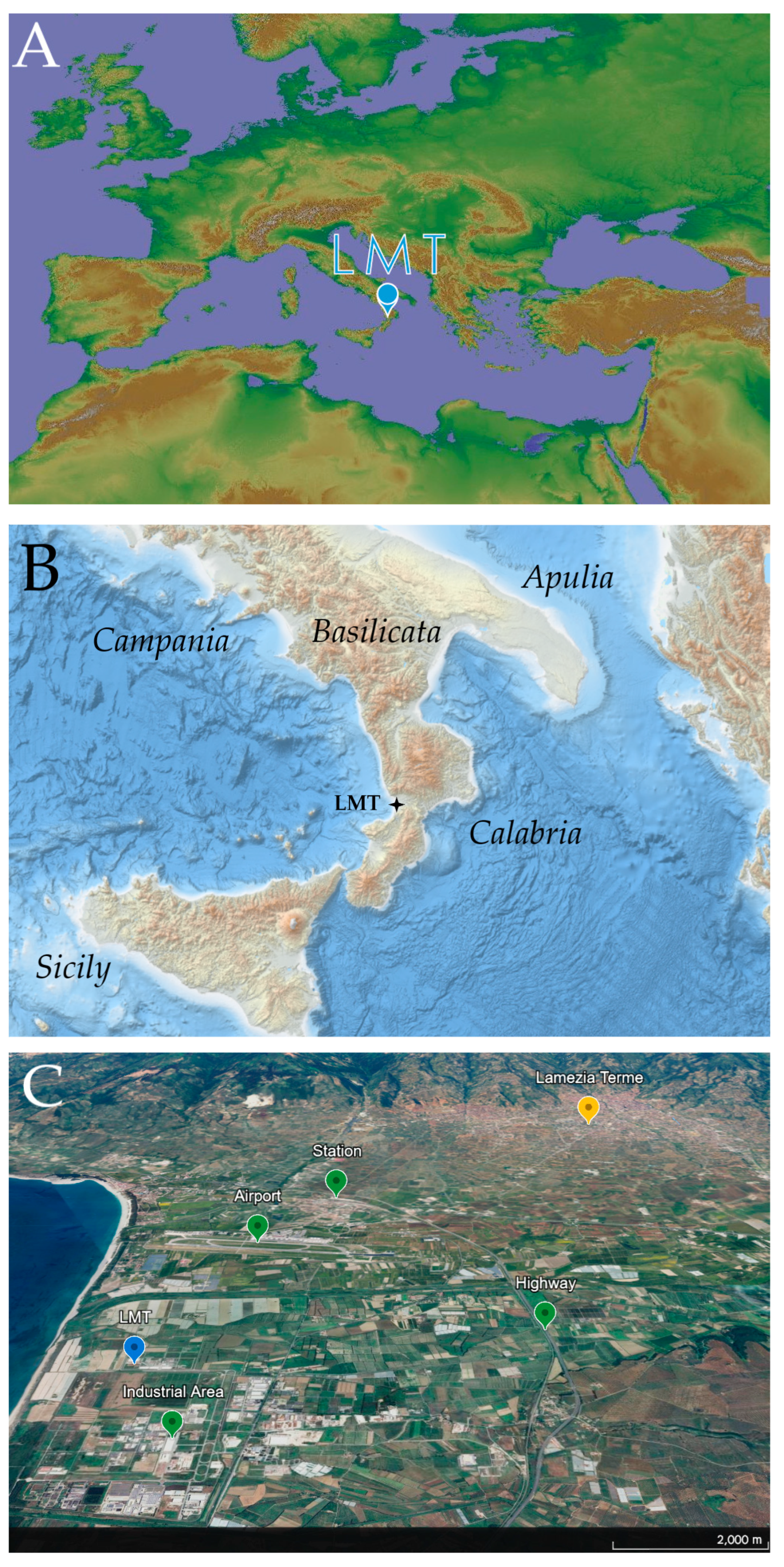 Preprints 138911 g001