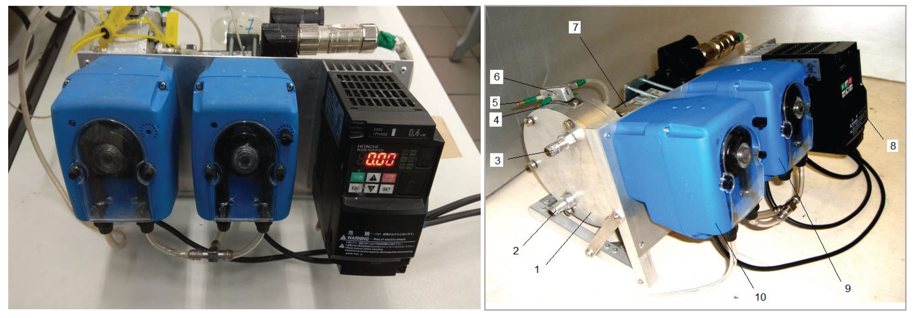 Preprints 200299 g001