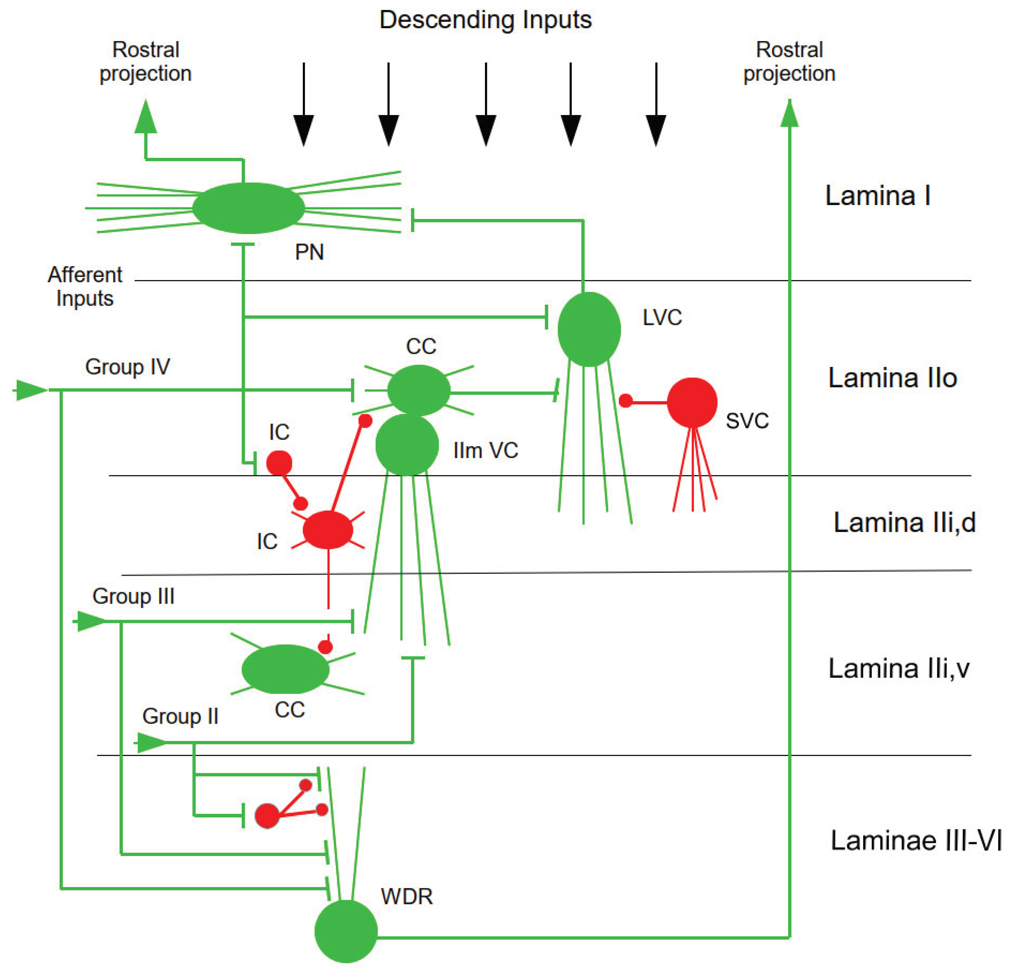Preprints 158892 g001