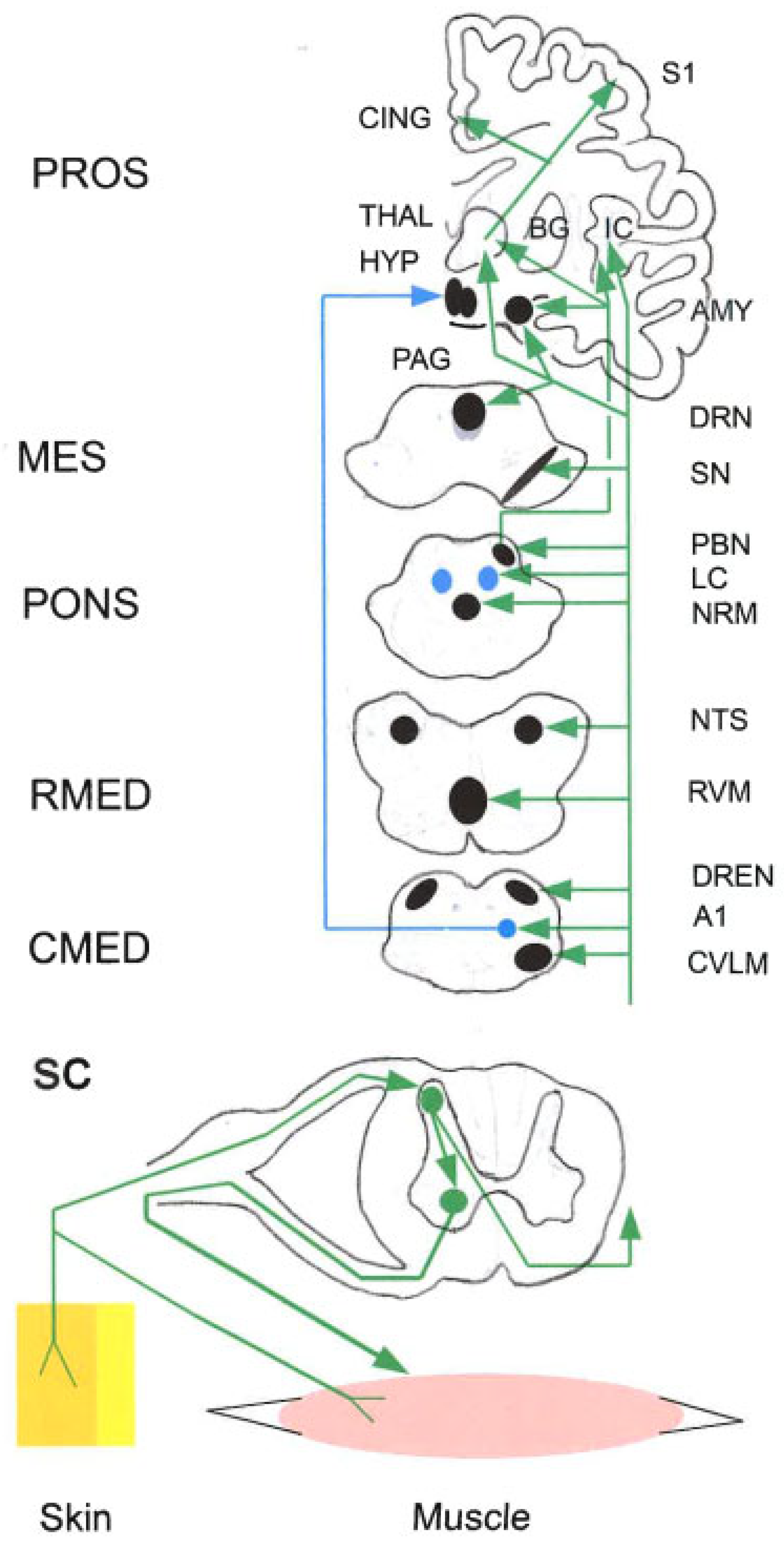 Preprints 158892 g002