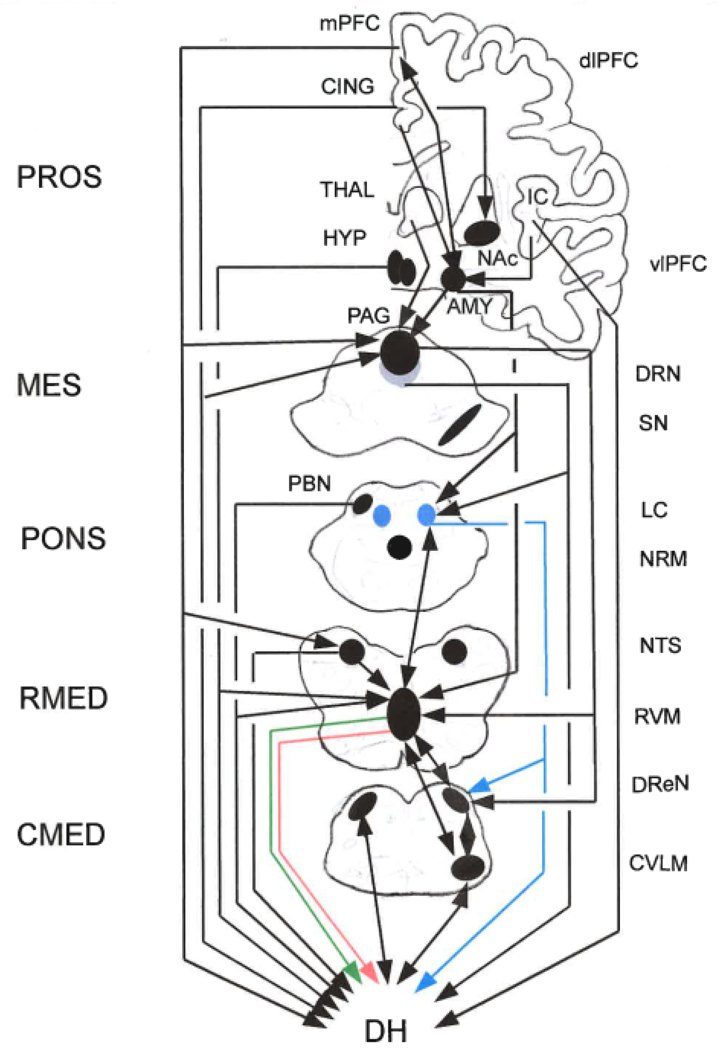 Preprints 158892 g003