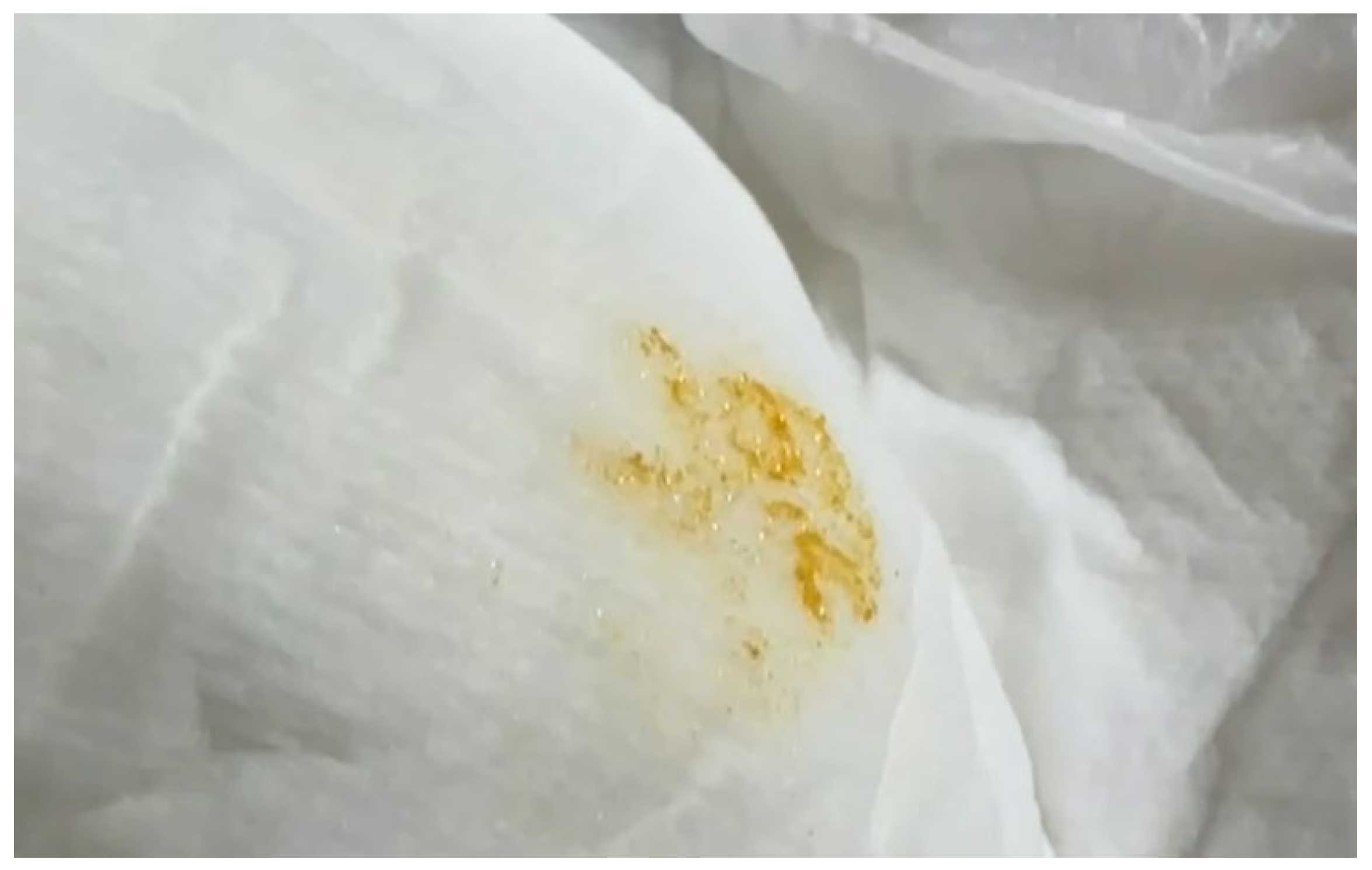 Preprints 139349 g001