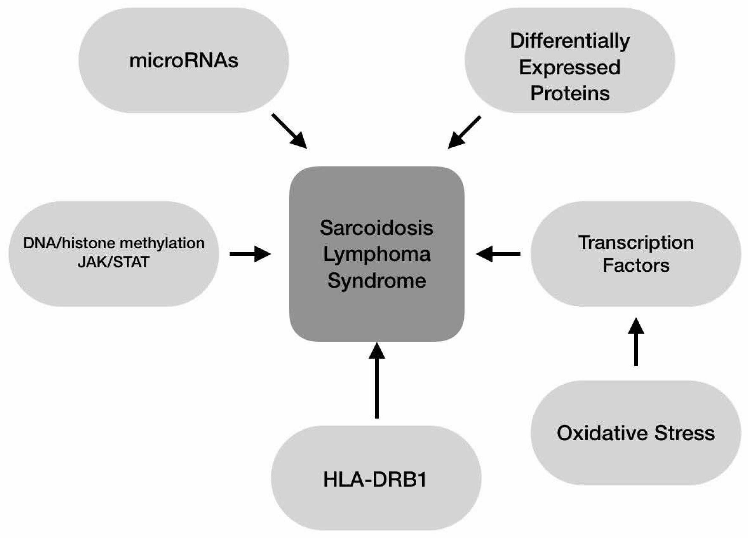 Preprints 140897 g002
