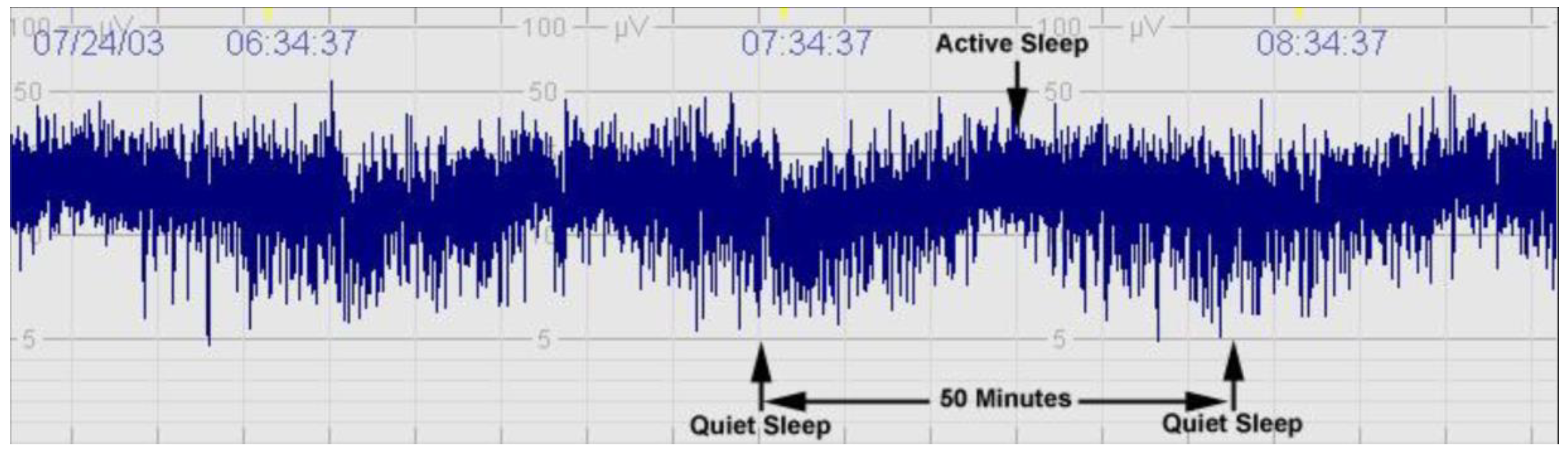 Preprints 143927 g001
