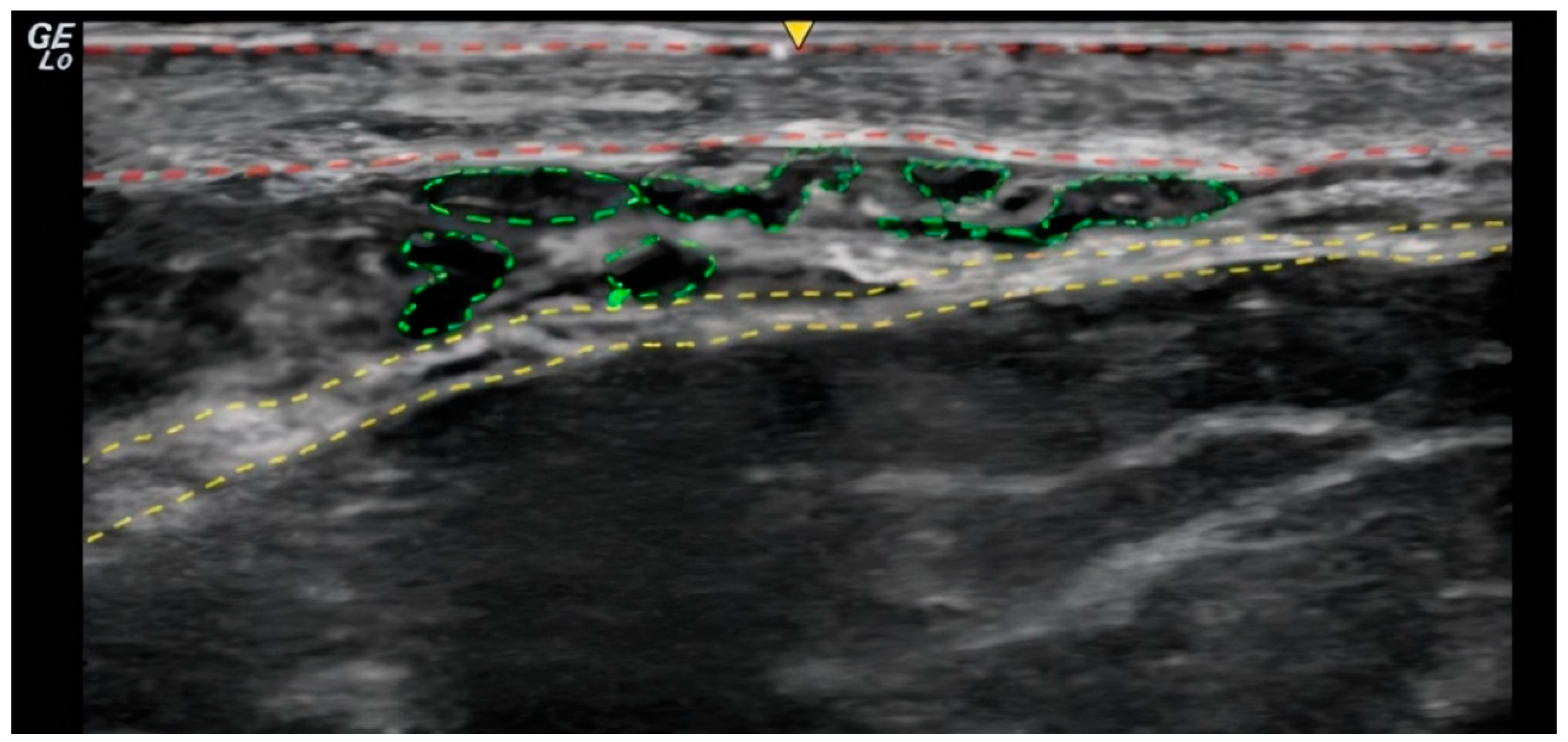 Preprints 153161 g001