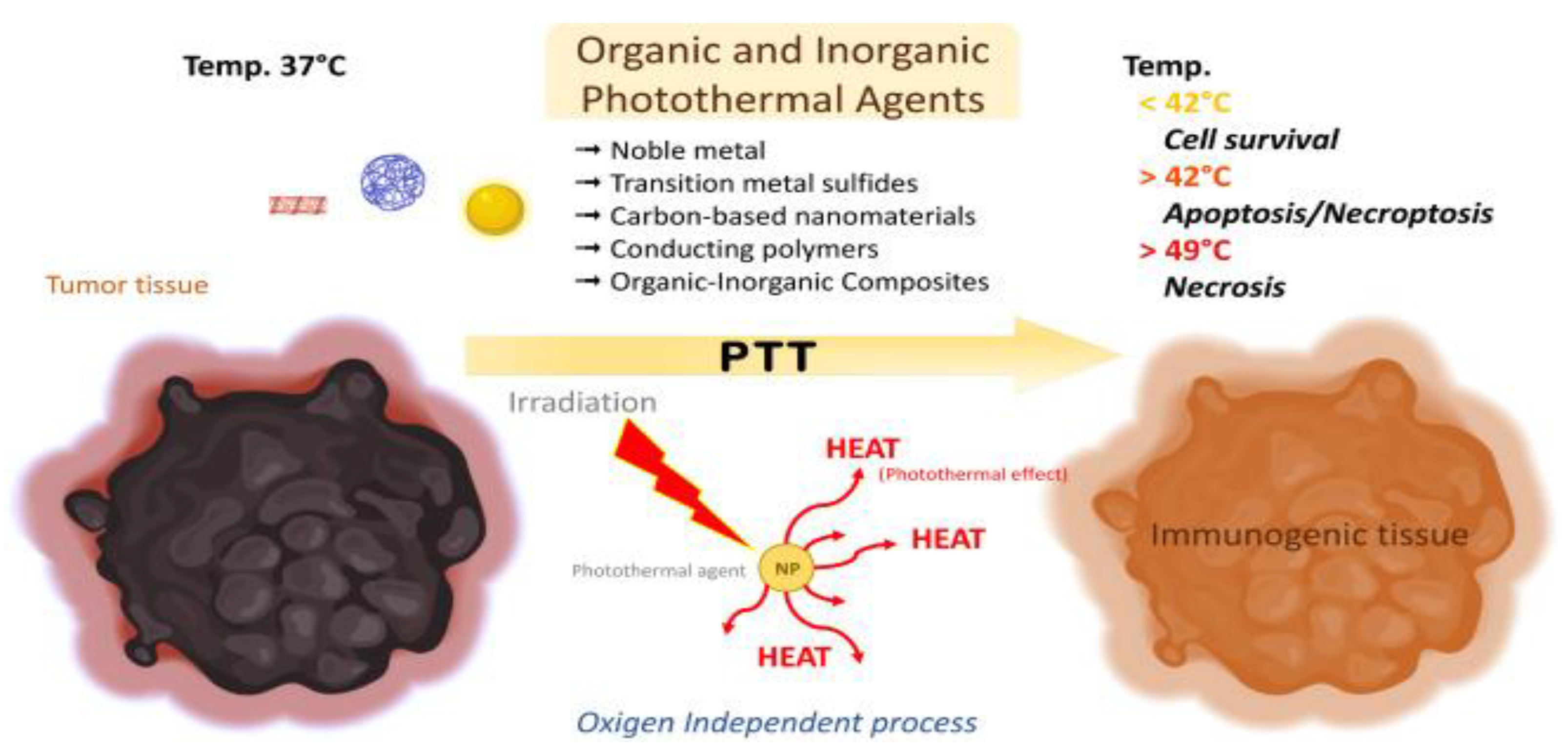 Preprints 150882 g001