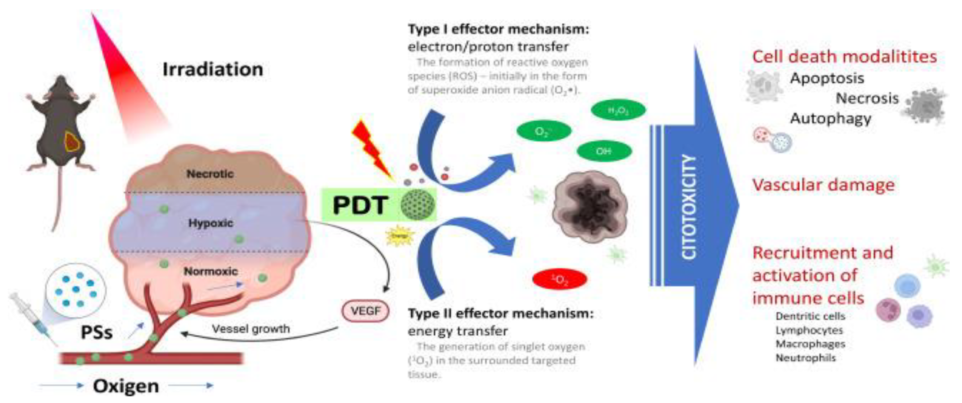 Preprints 150882 g002
