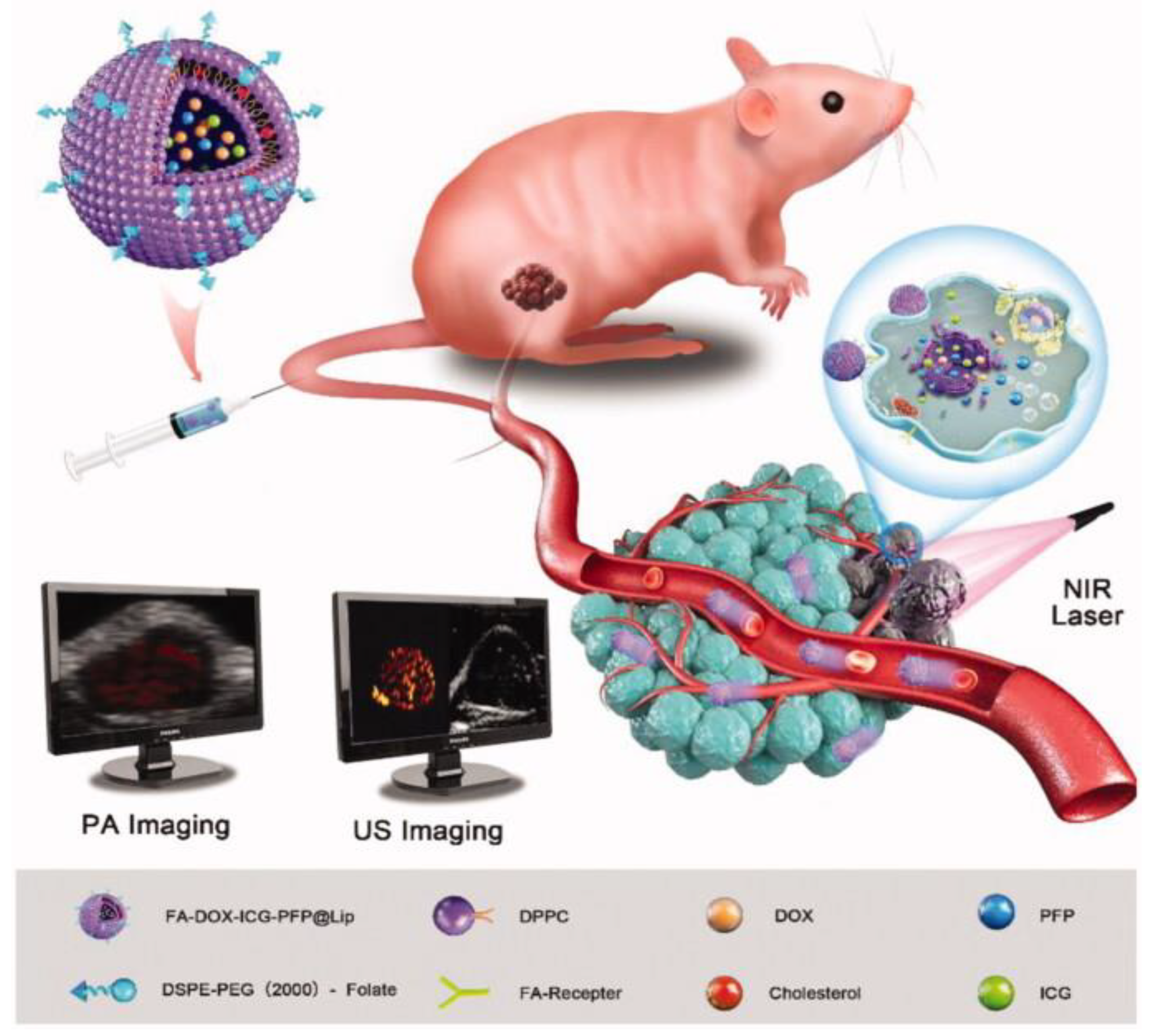 Preprints 150882 g003