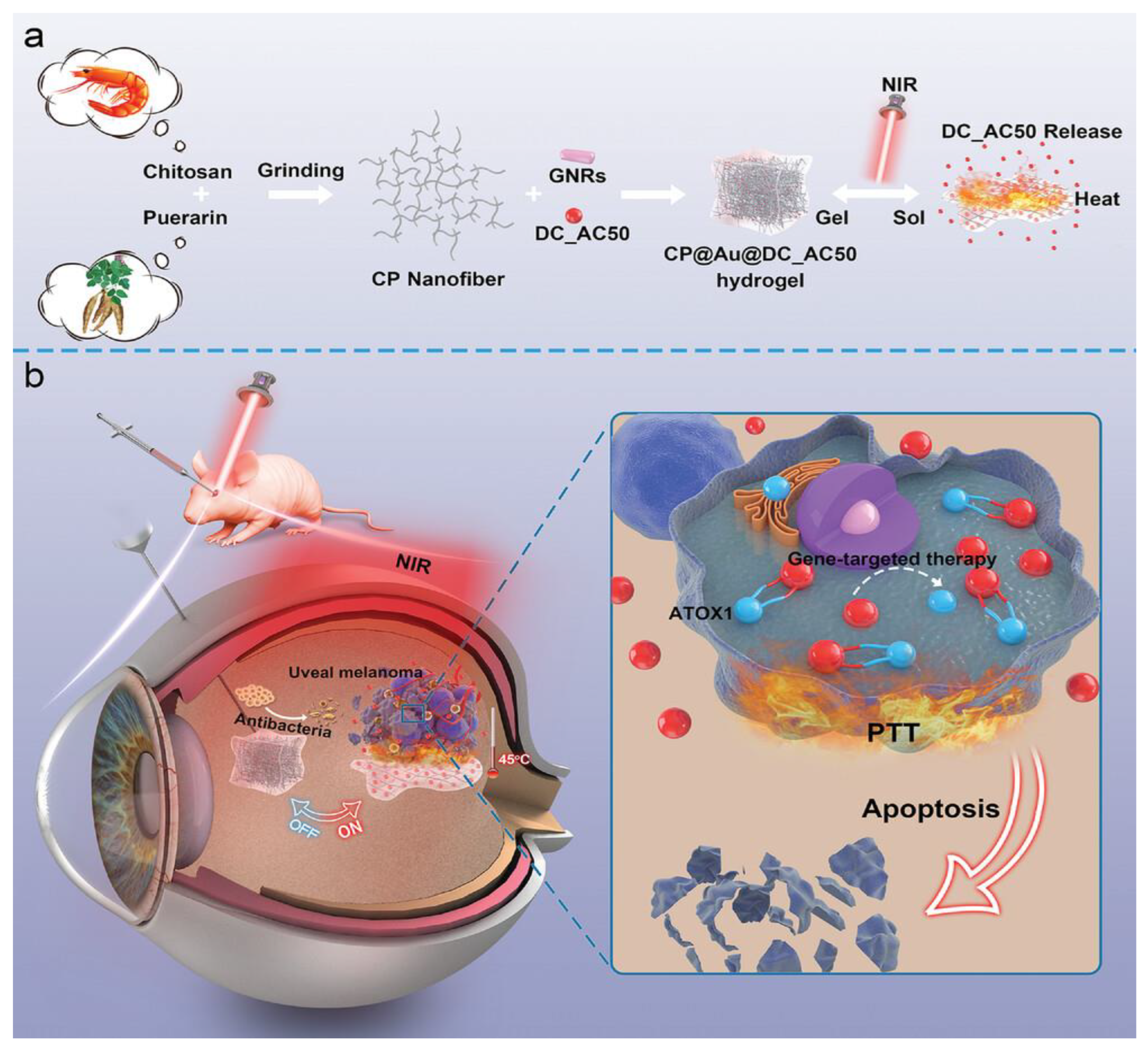 Preprints 150882 g004