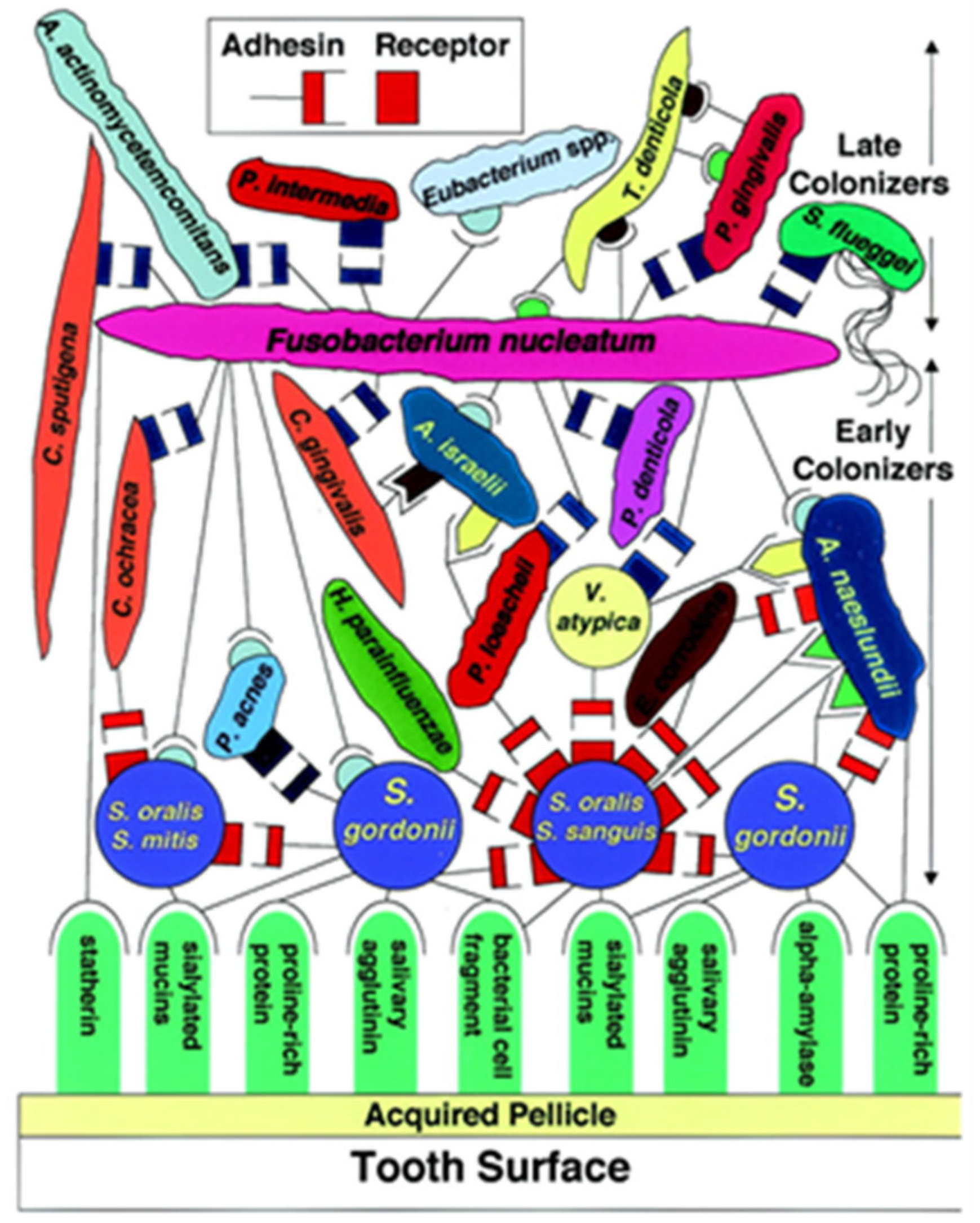Preprints 158323 g001