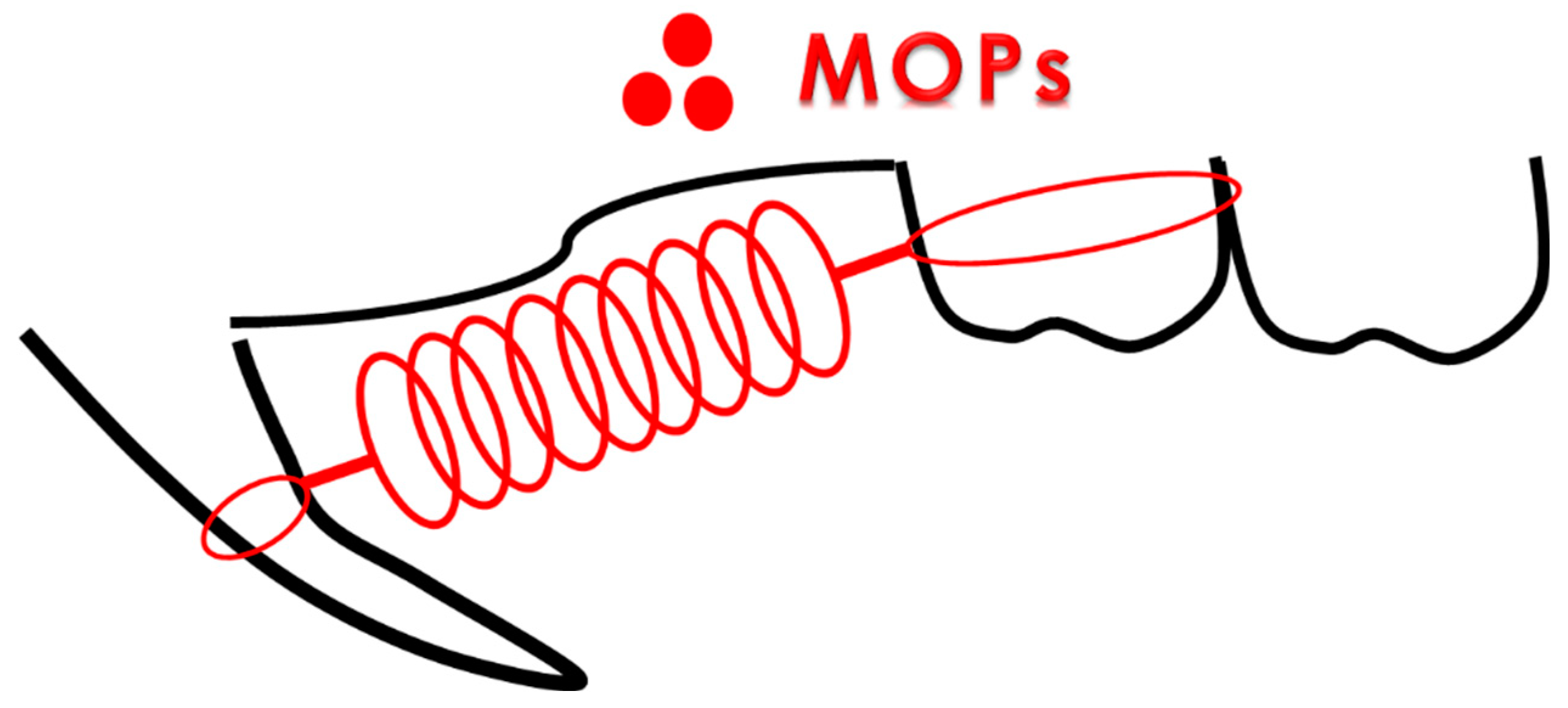 Preprints 95180 g002